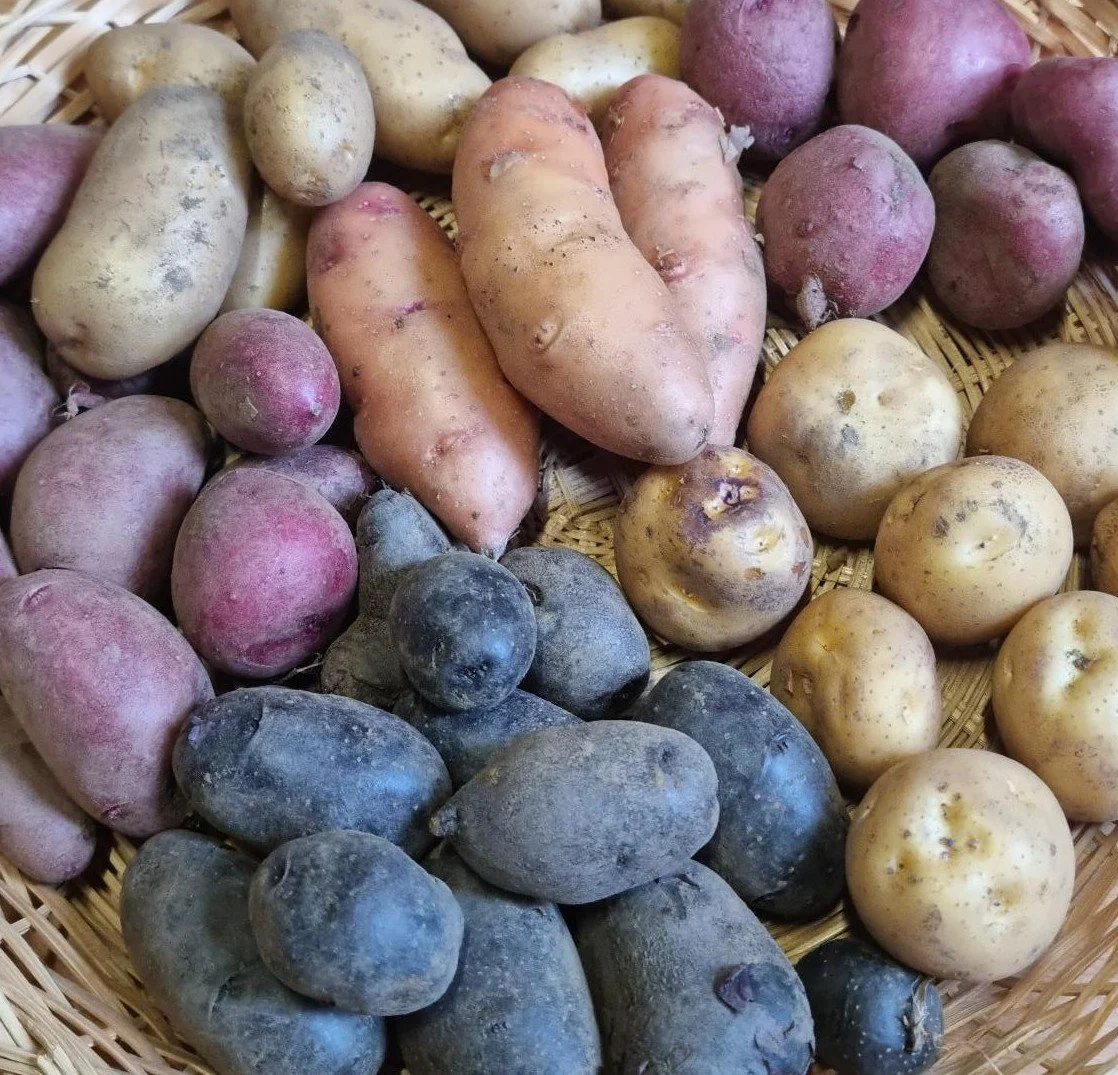 Potatoes