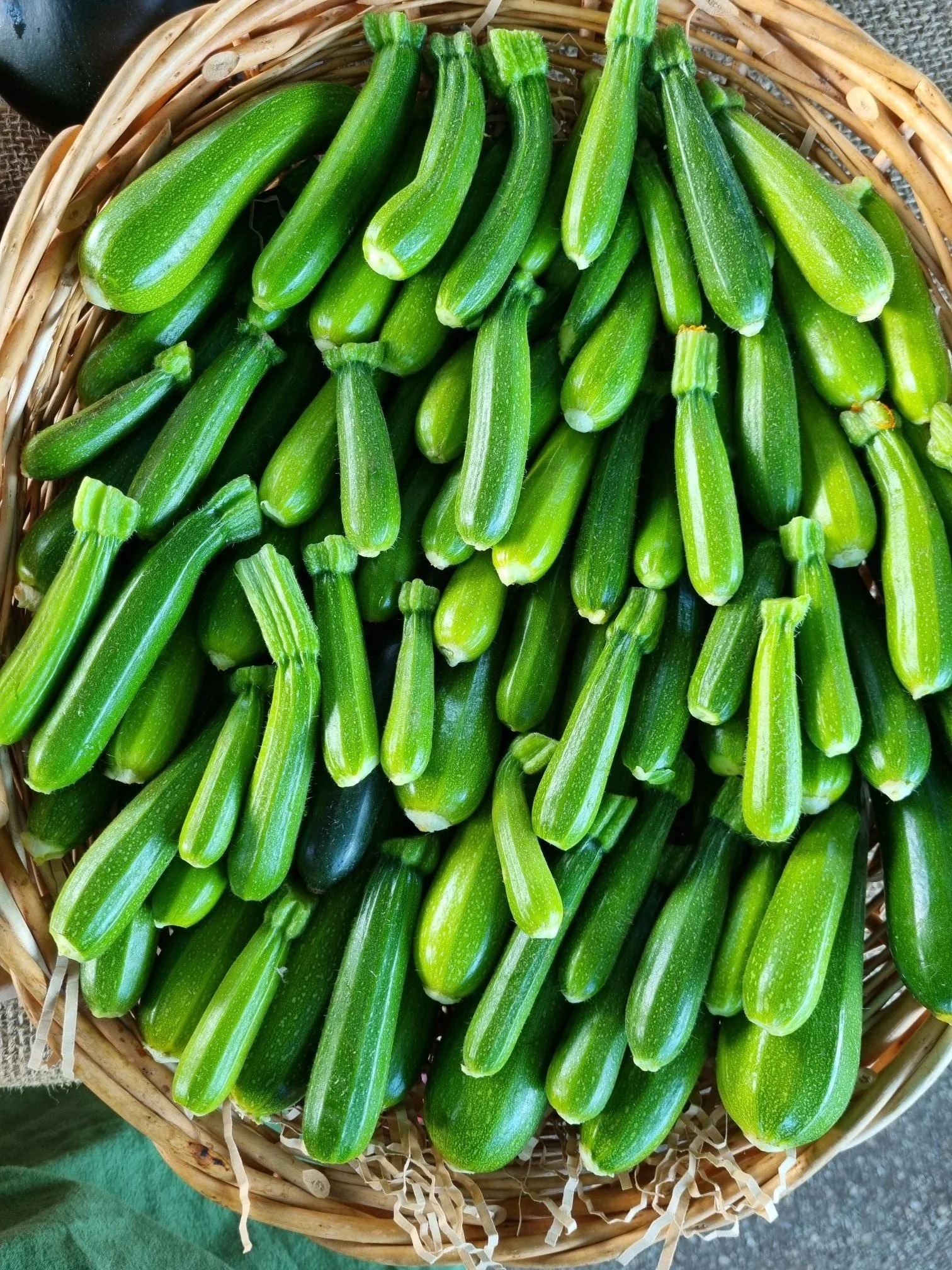 Baby zucchini