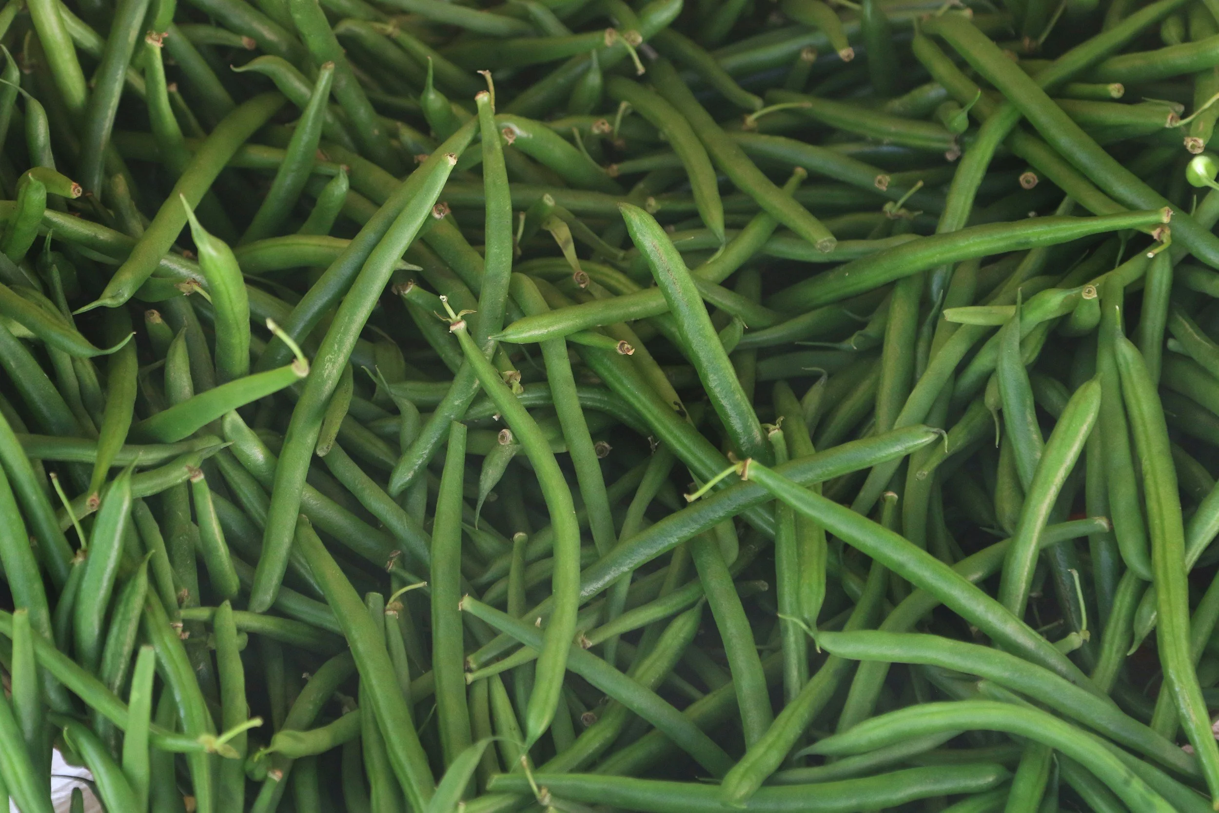 Beans