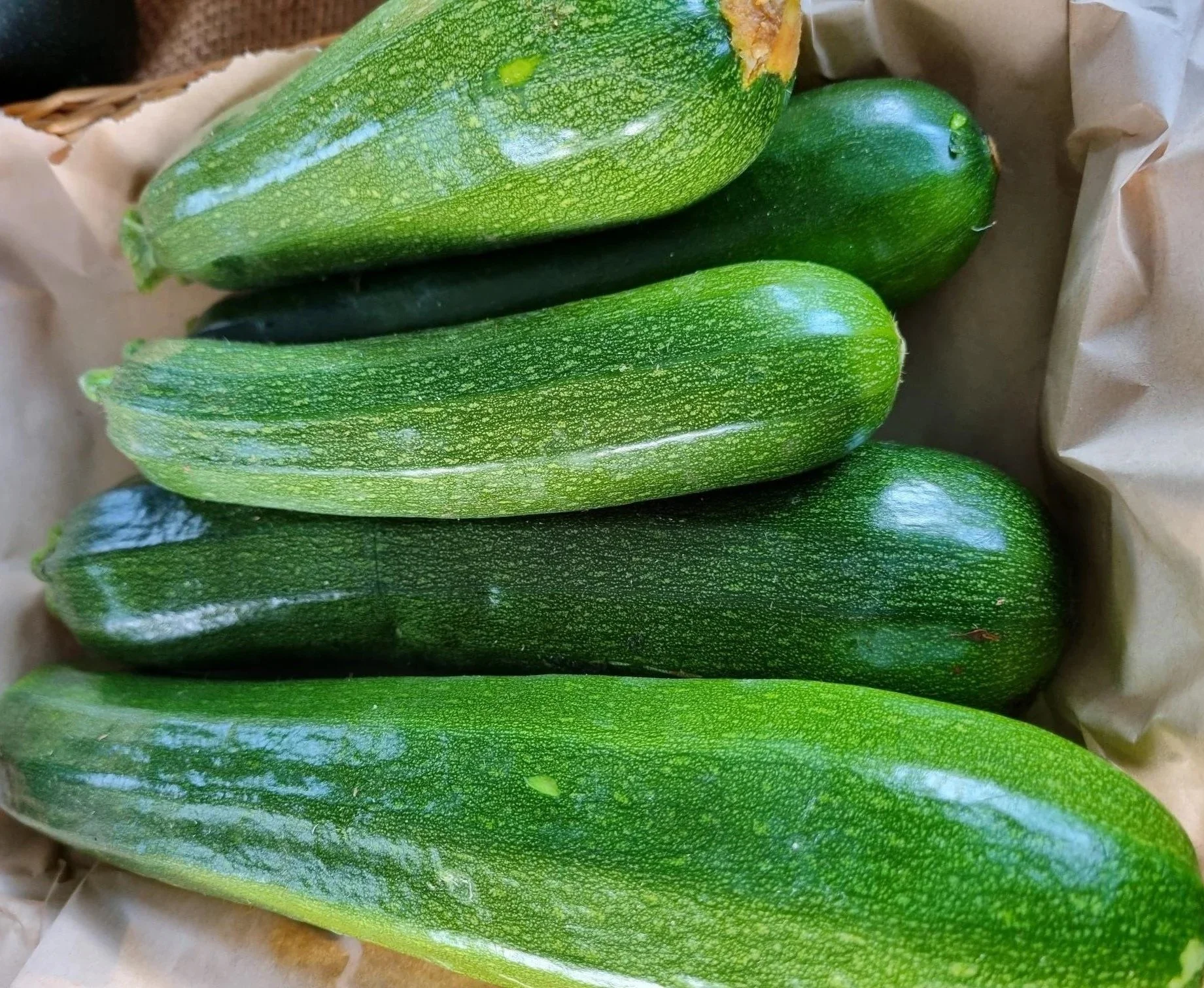 Zucchini