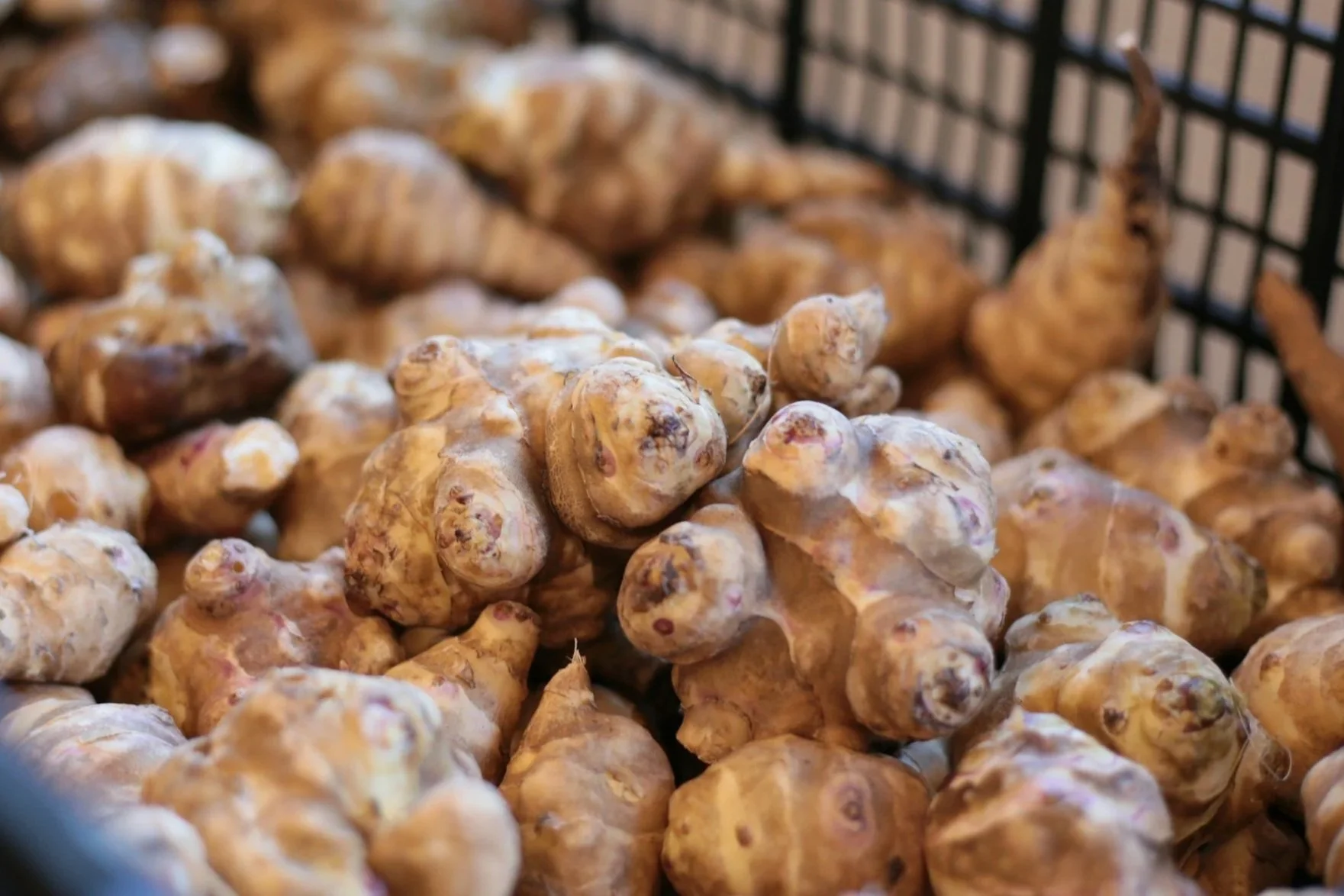 Jerusalem Artichokes