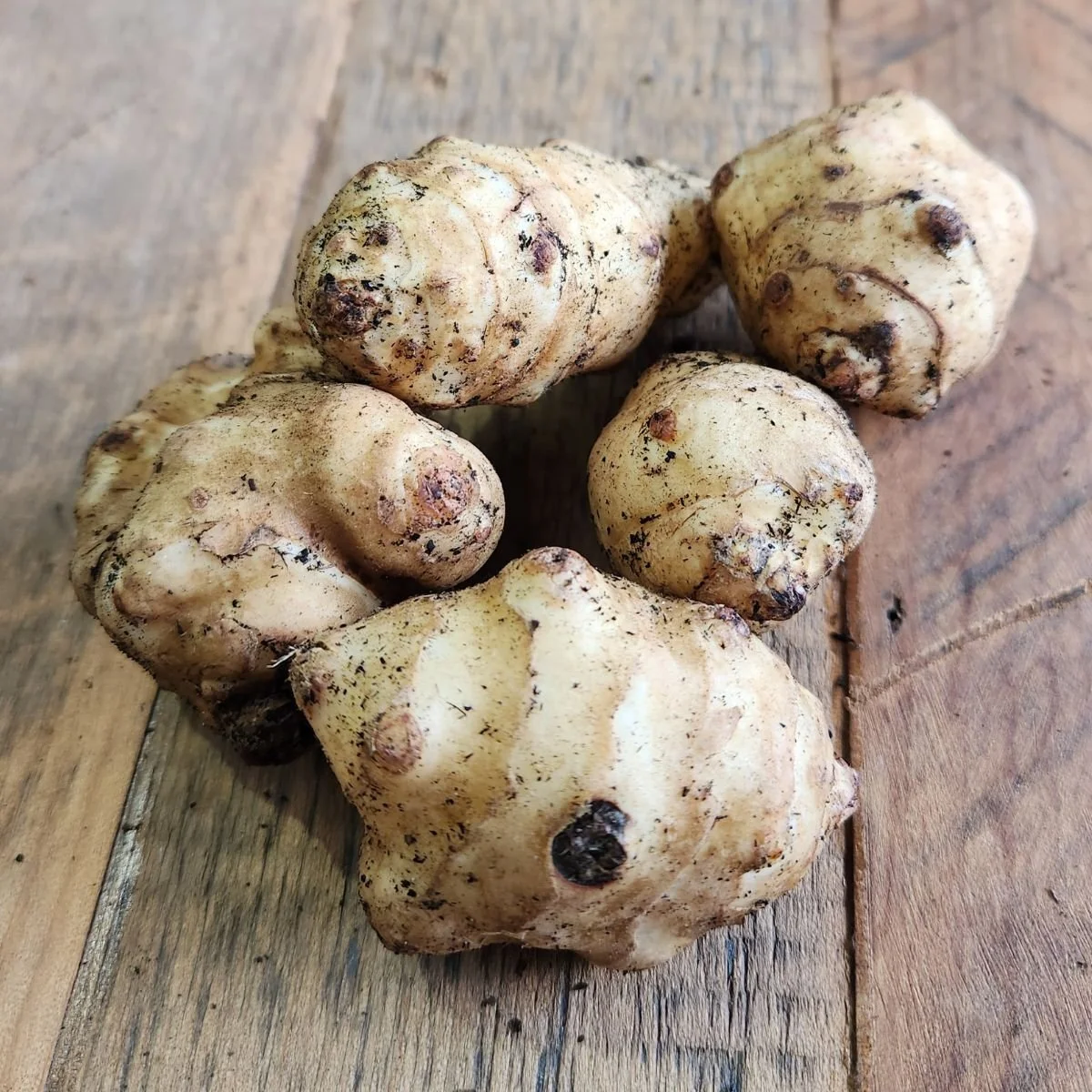 Jerusalem artichoke