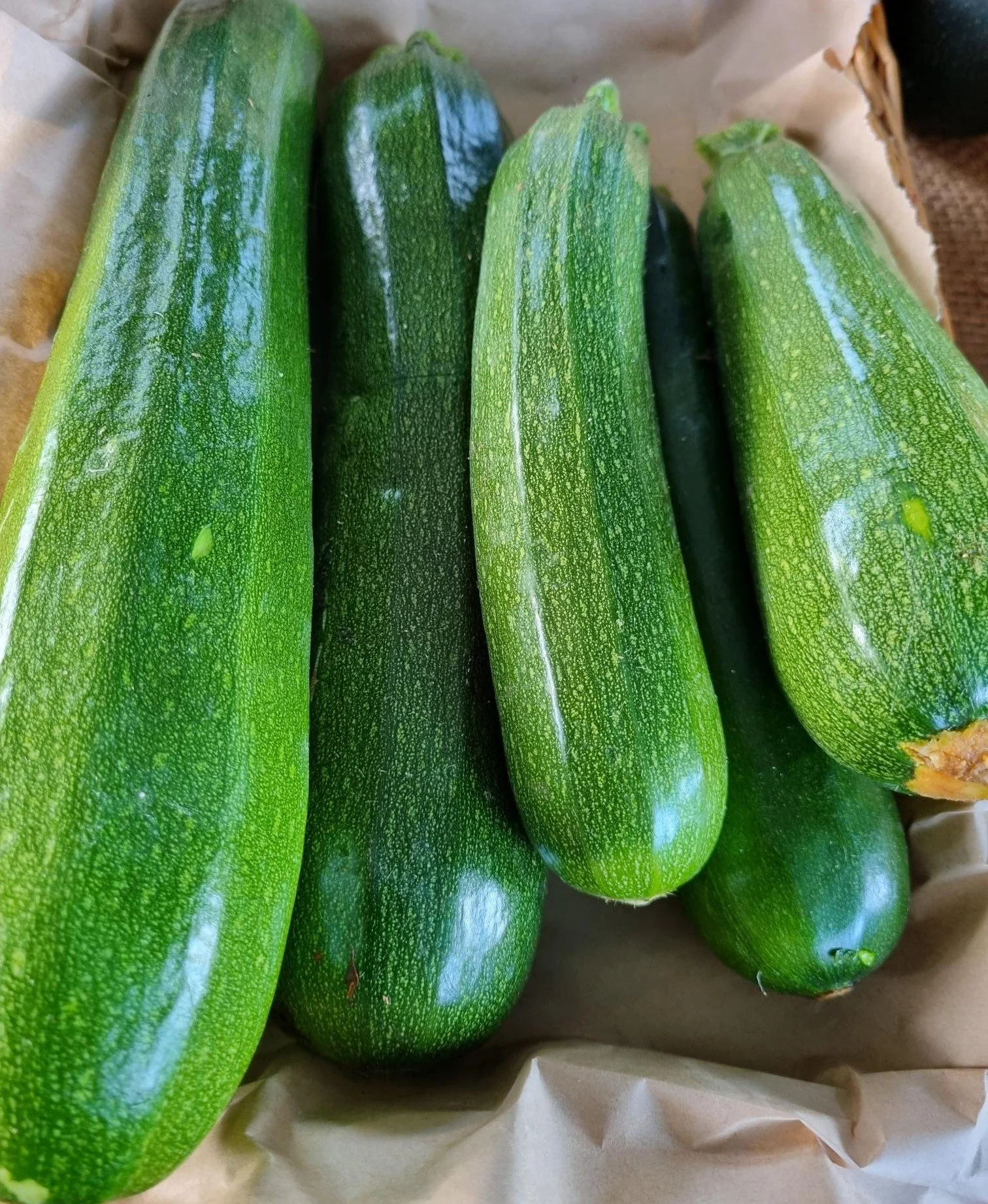 Zucchini