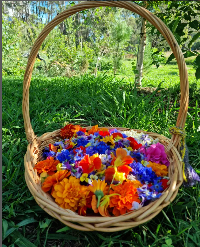 Edible flowers