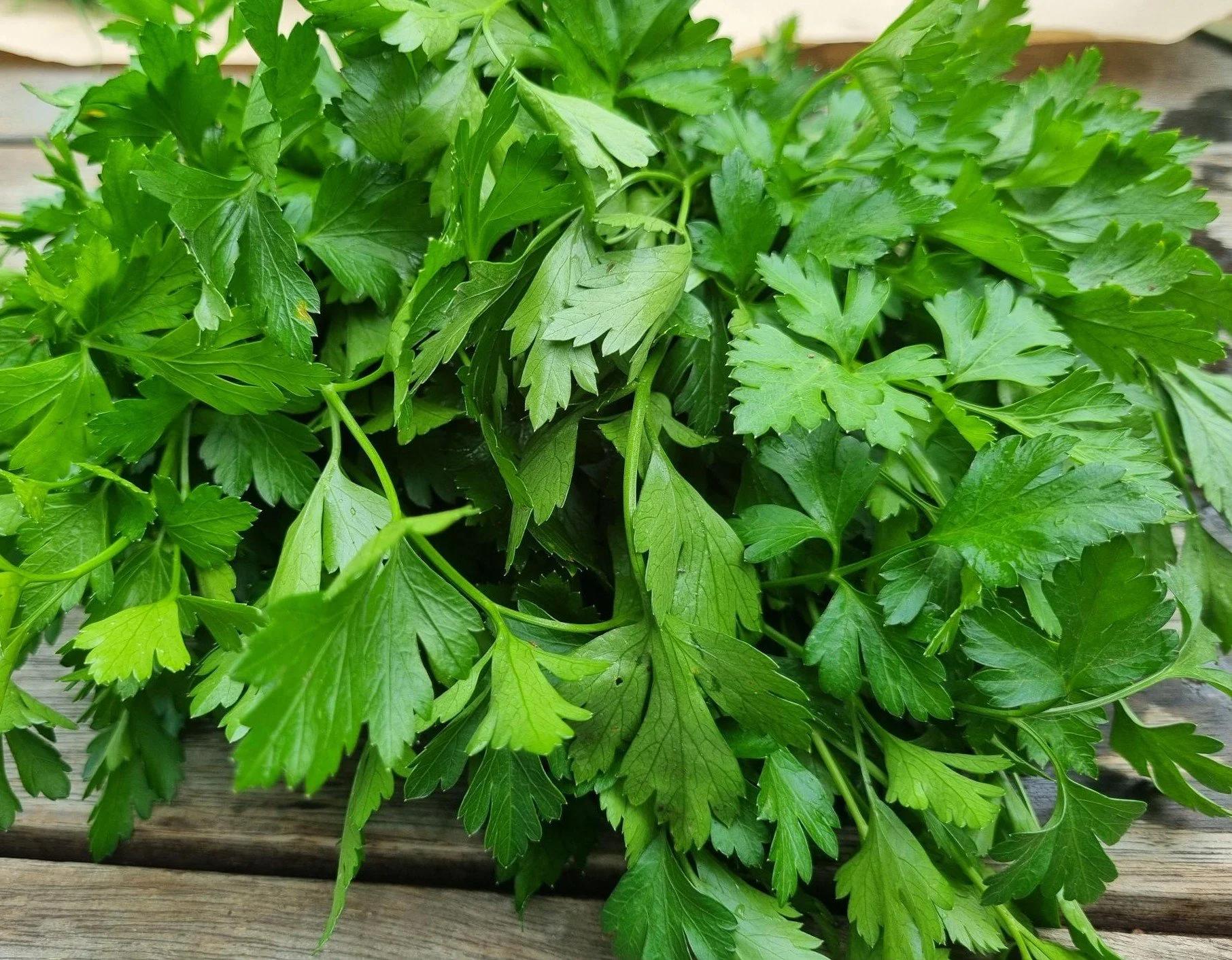 Parsley