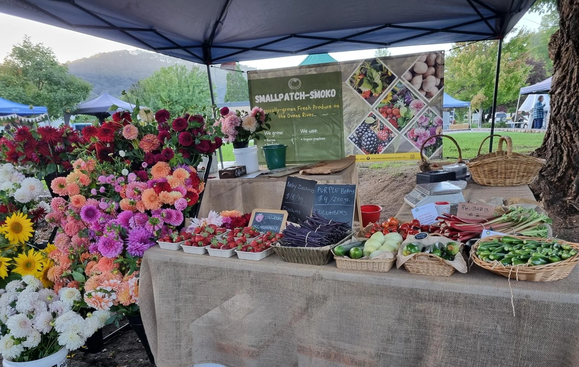 A farmers market stall with colorful flowers, strawberries, zucchinis, and other fresh produce, set outdoors under a canopy with trees in the background.