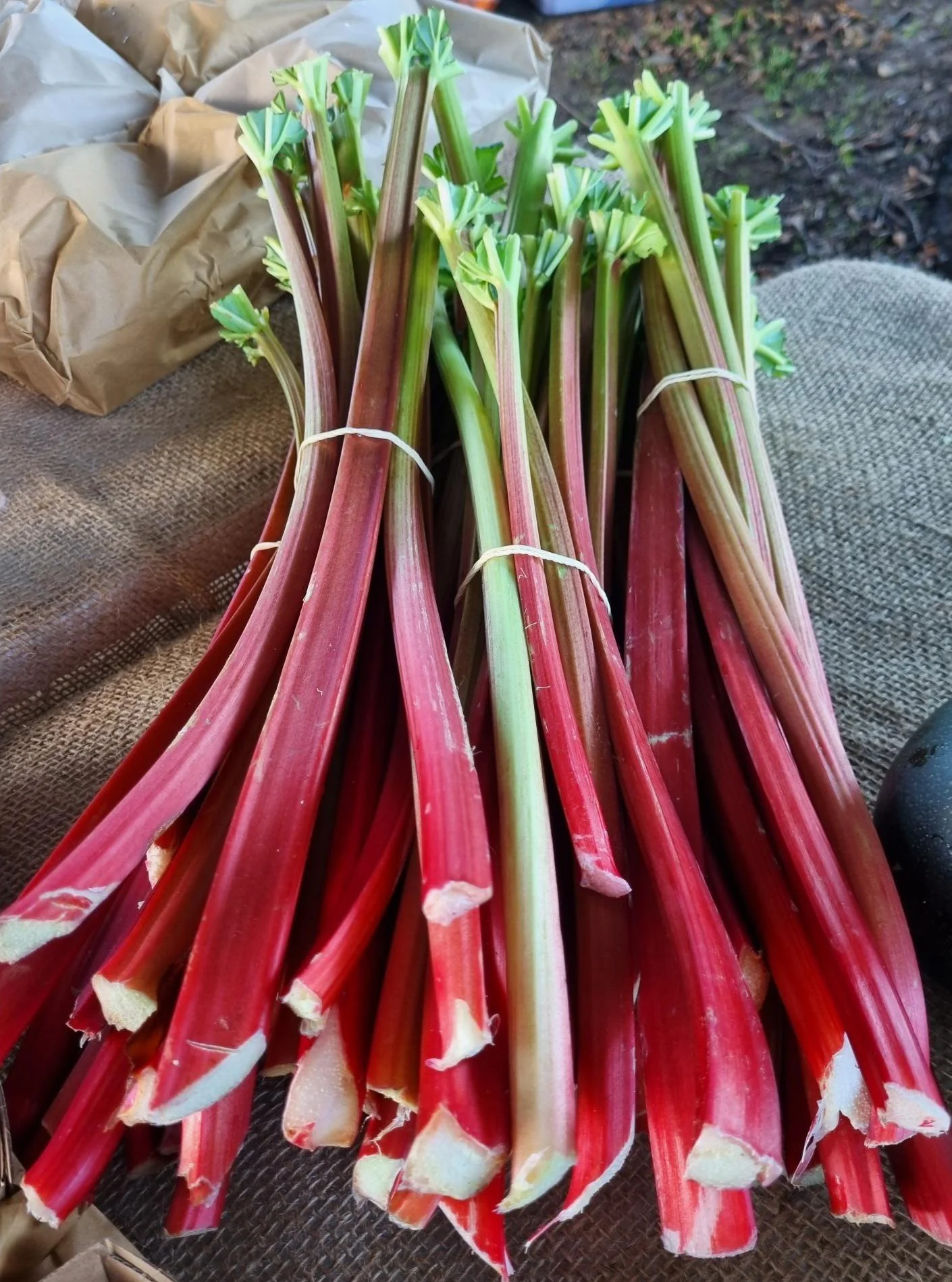 Rhubarb
