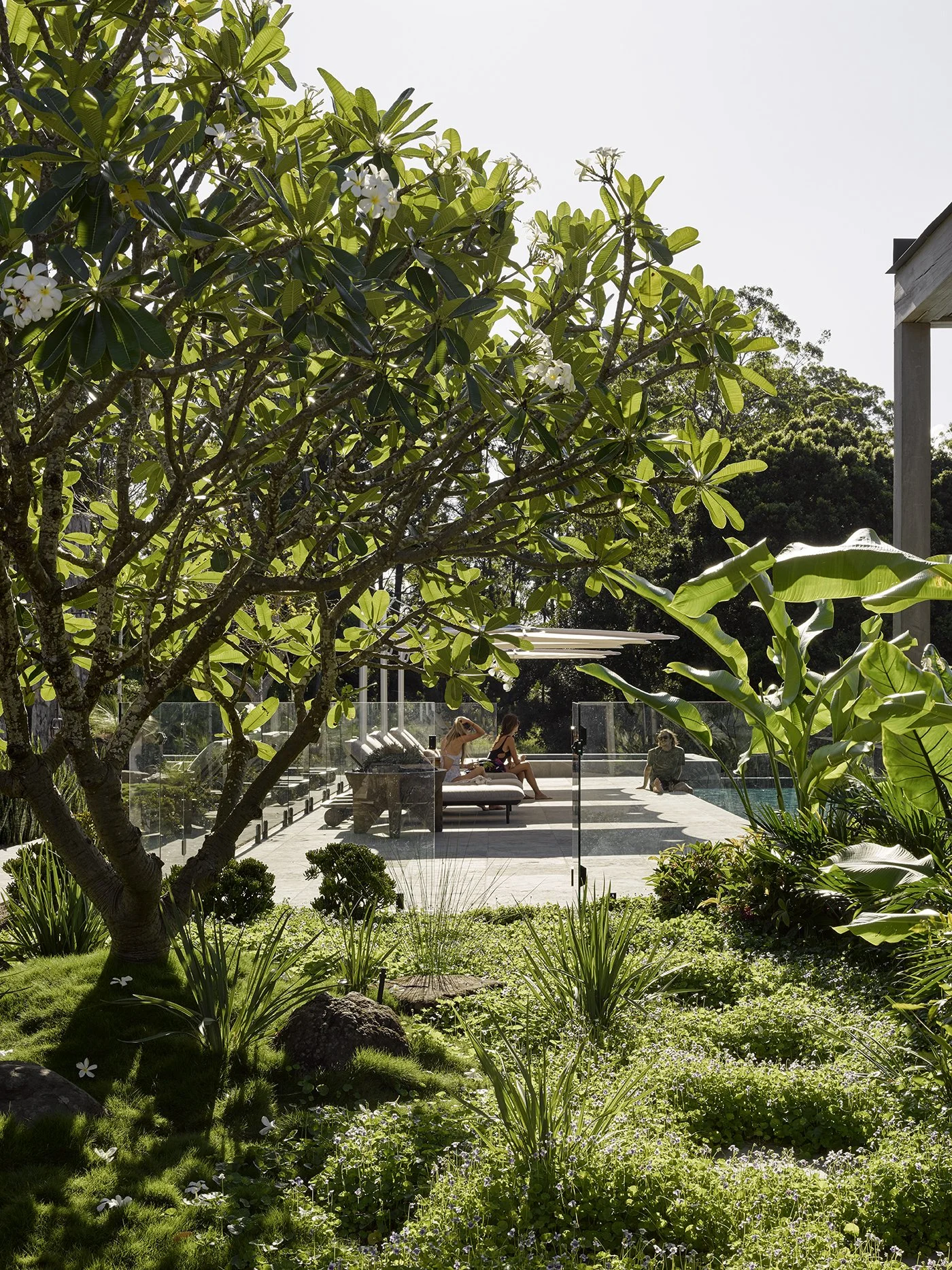 People relaxing by a swimming pool on a sunny day, surrounded by lush greenery and trees.
