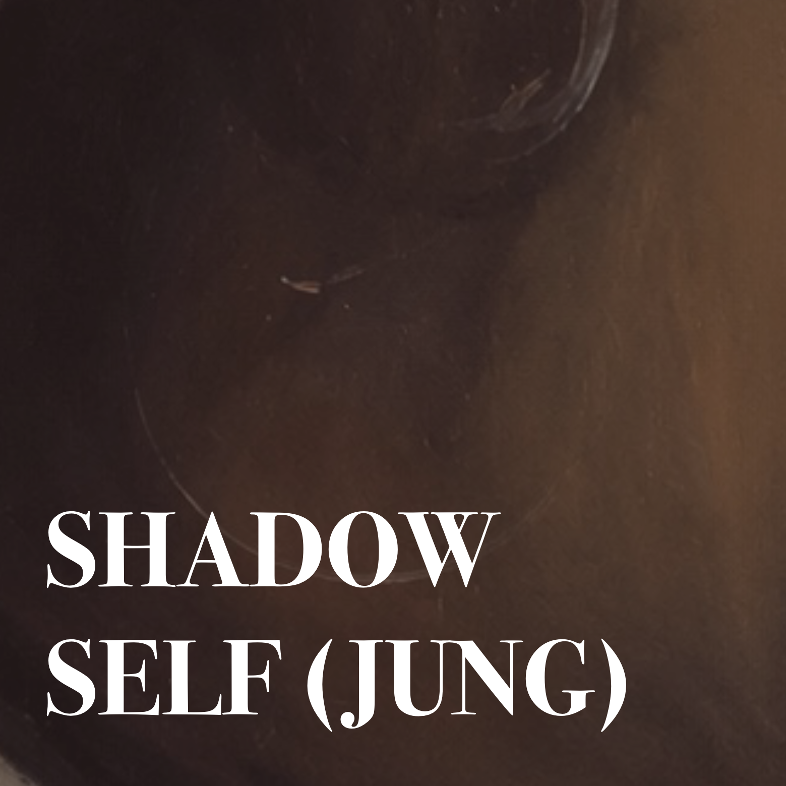 Shadow Self (Jung)