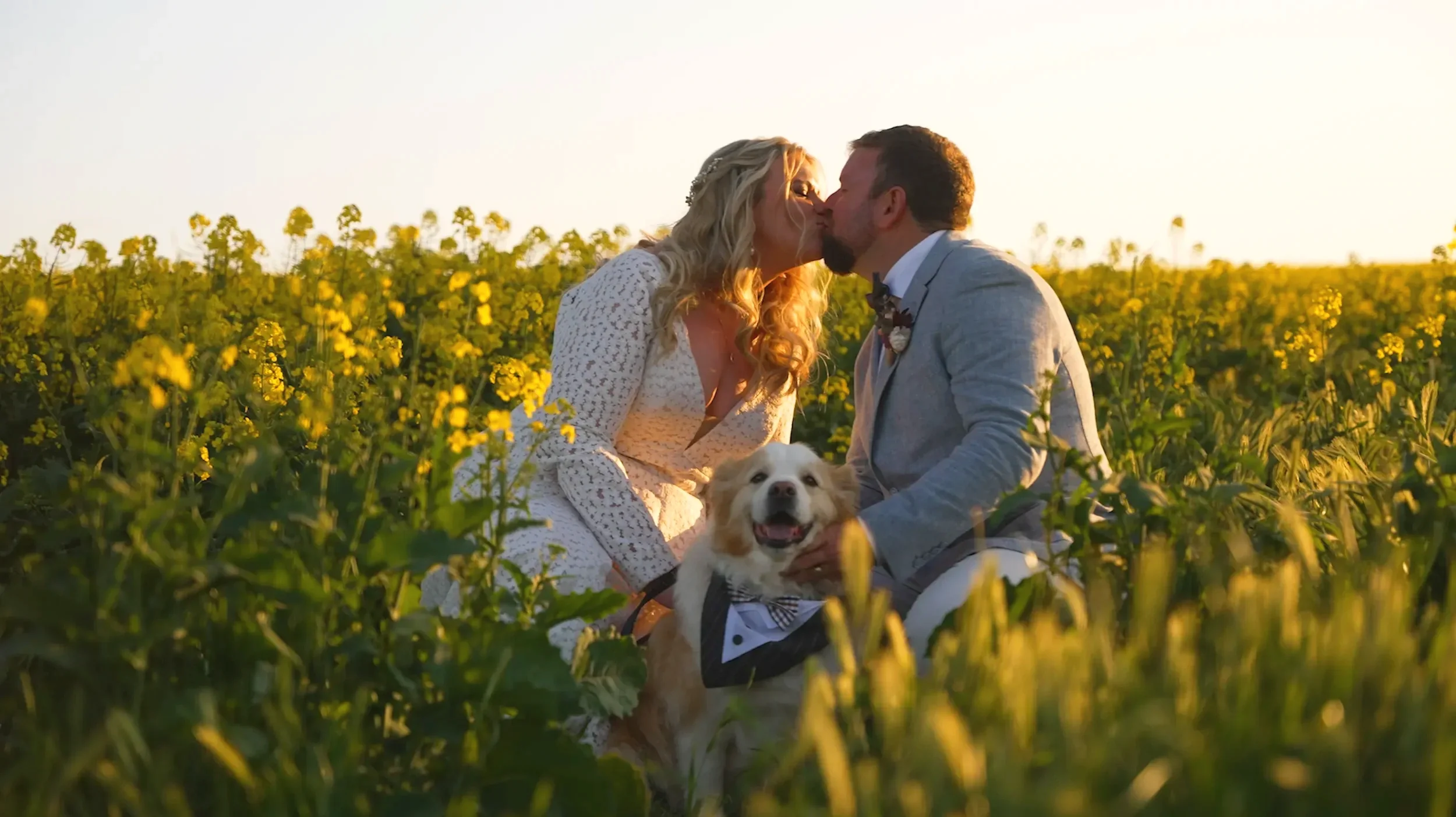 A couple kissing in a yellow flower field at sunset with a happy dog on a leash.
