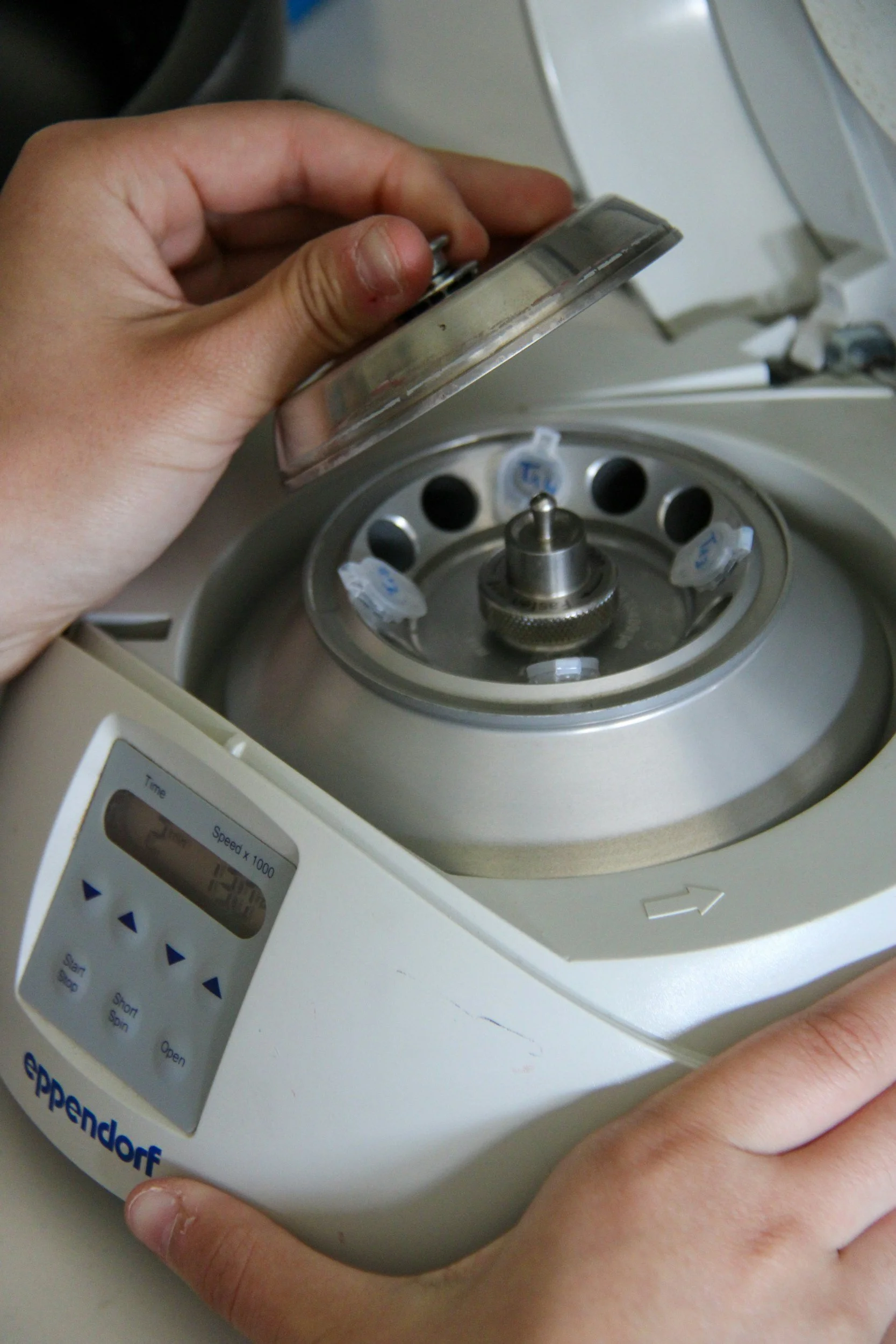 Person opening a laboratory centrifuge machine, which has a digital control panel and a rotating rotor for test tubes.