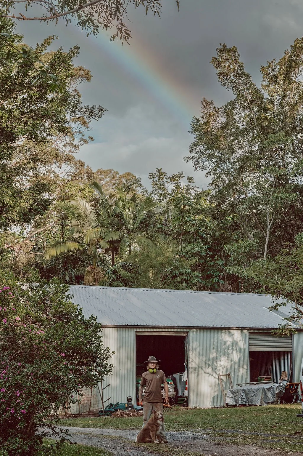 A person wearing a hat, mask, and headphones stands outside a metal shed with a dog sitting in front. The shed is surrounded by lush green trees and purple flowering bushes, with a rainbow visible in a cloudy sky overhead.