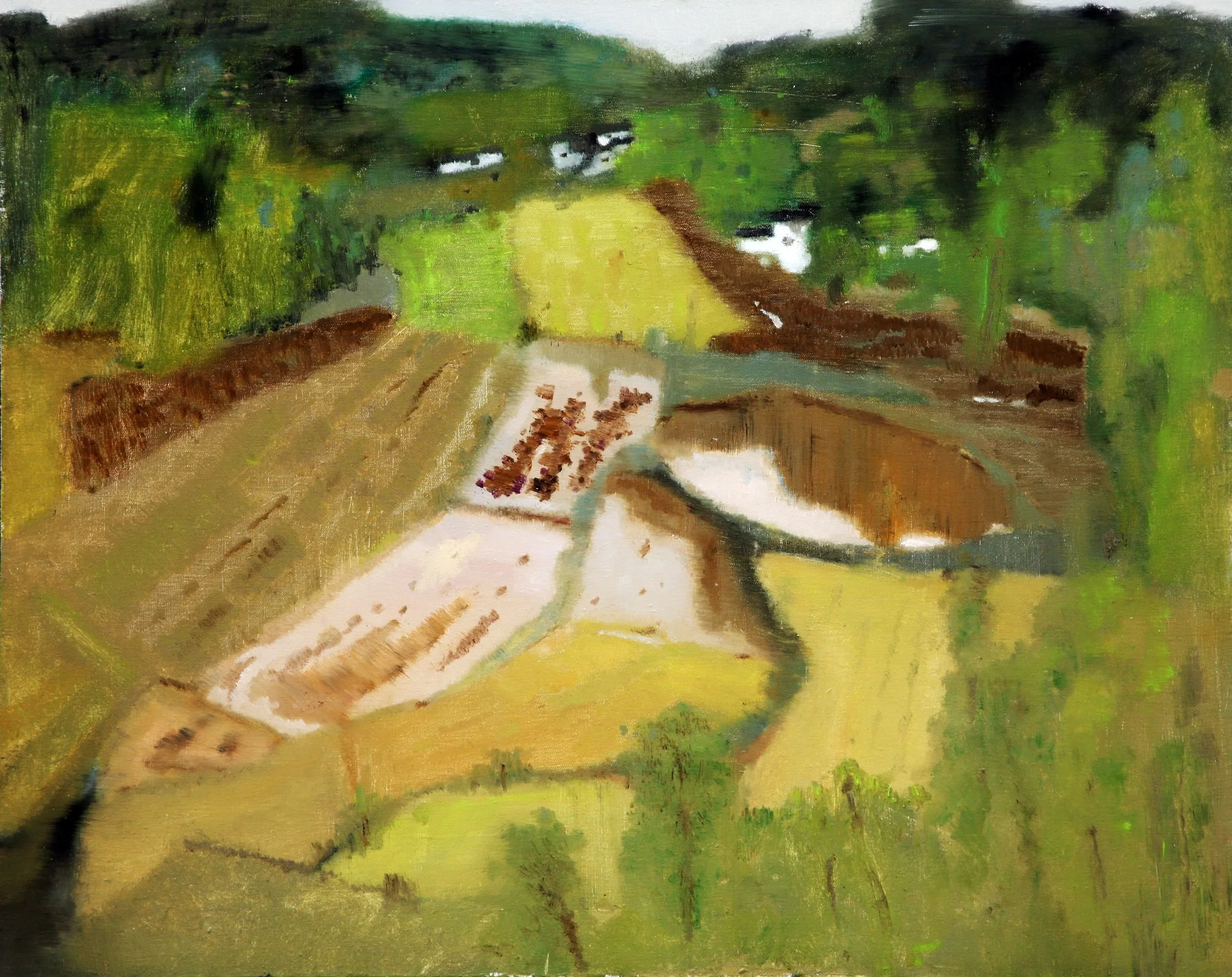Southern China 1, 
2015, Oil on canvas, 80 x 100 cm