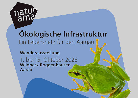 Ökologische Infrastruktur