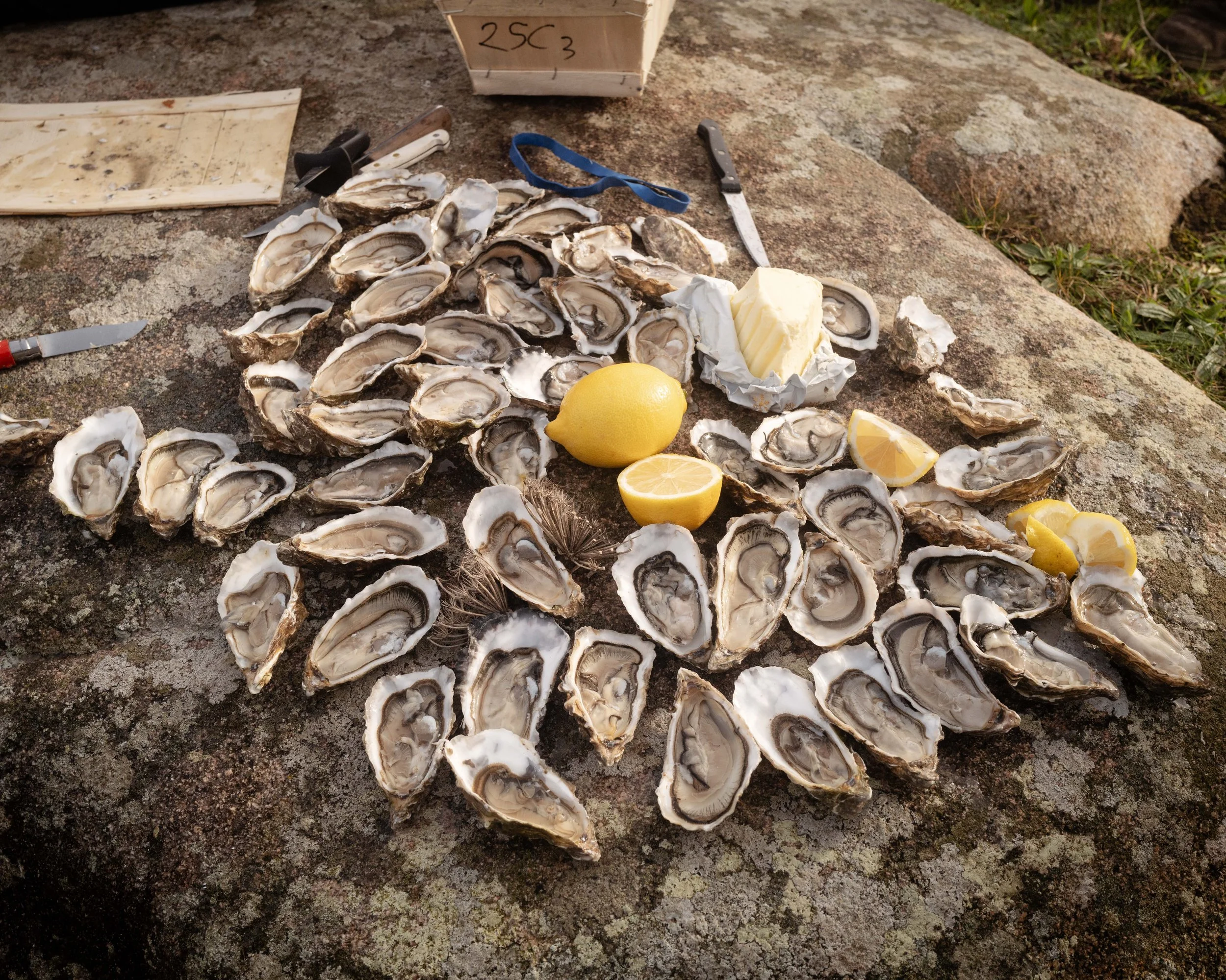 A collection of oyster shells on a flat rock surface, with lemon halves, a block of butter, and kitchen knives nearby. There are also scissors and a wooden box with writing in the background.