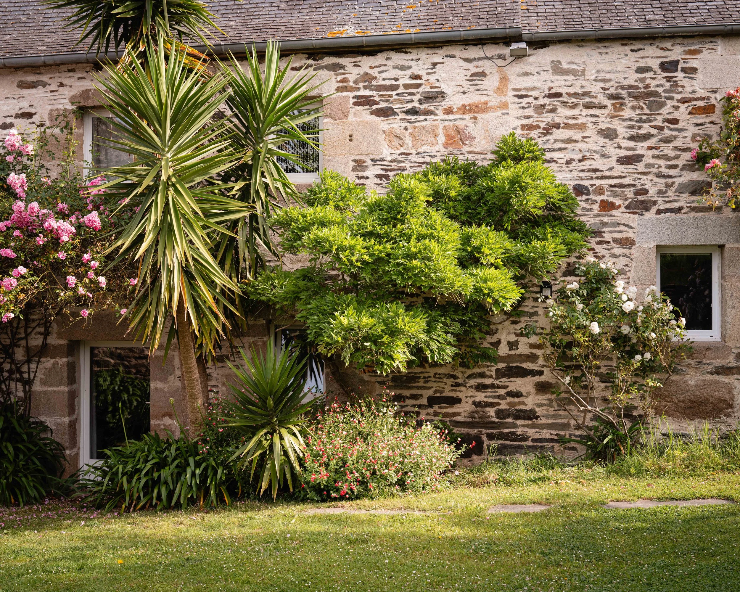 A stone house with a sloped roof, two small windows, surrounded by various green plants and pink and white flowers in the garden.