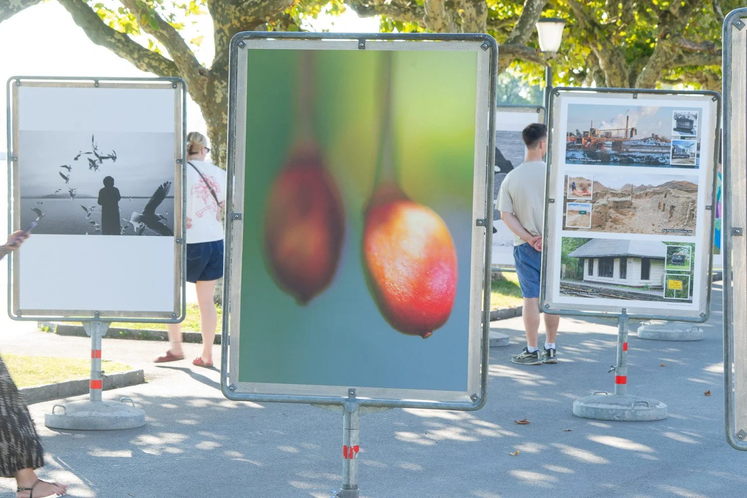 Plakatausstellung Vernissage-4.jpg
