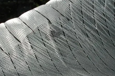 Lichten_22.T.low.jpg