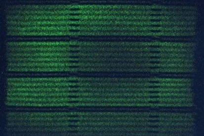 Lumi_M-Fluo2.low.jpg