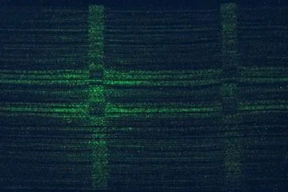 Lumi_M-Fluo3.low.jpg