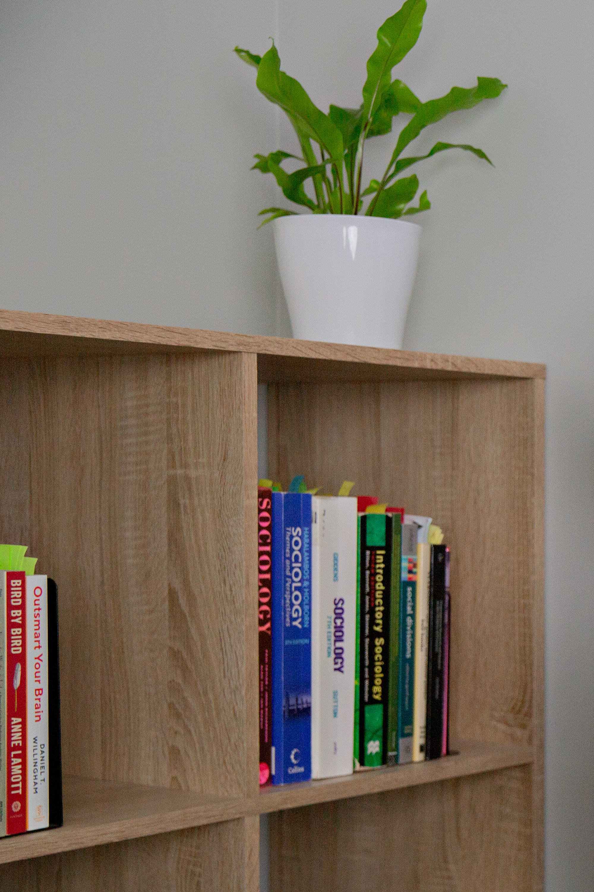 Professional research library and diagnostic resource collection at Dr Lynda Consulting office in Christchurch, Canterbury.