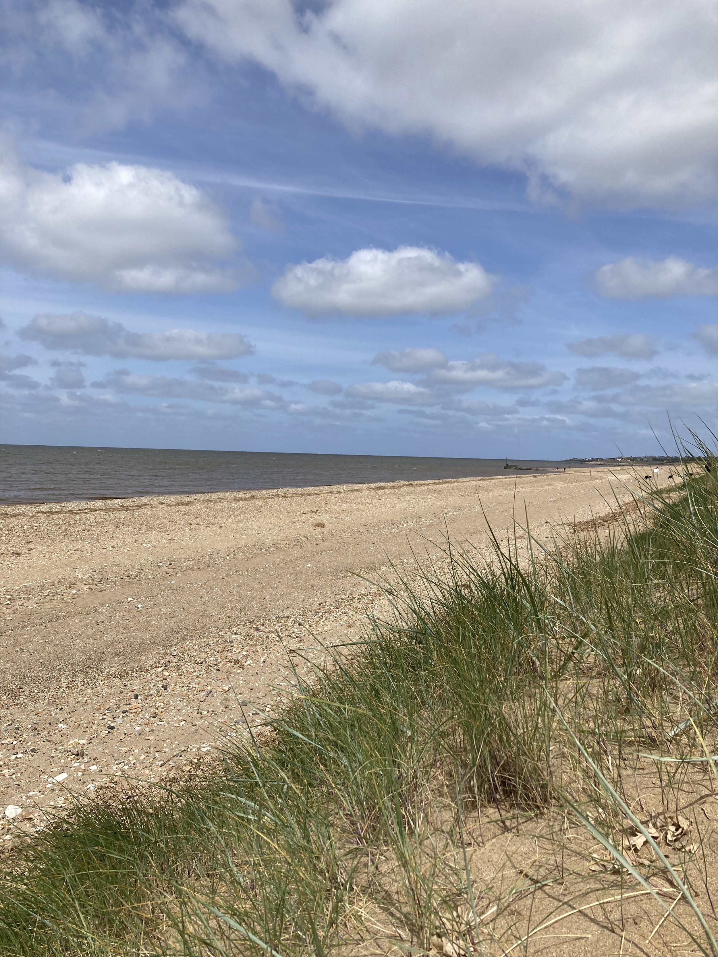 A sandy beach with green grass and plants in the foreground, grey water in the middle, and a cloudy sky overhead.
