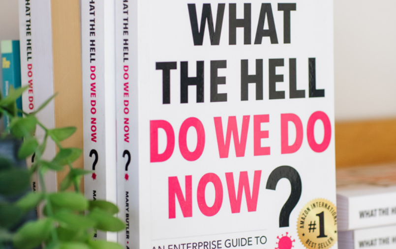 What The Hell Do We Do Now? book cover