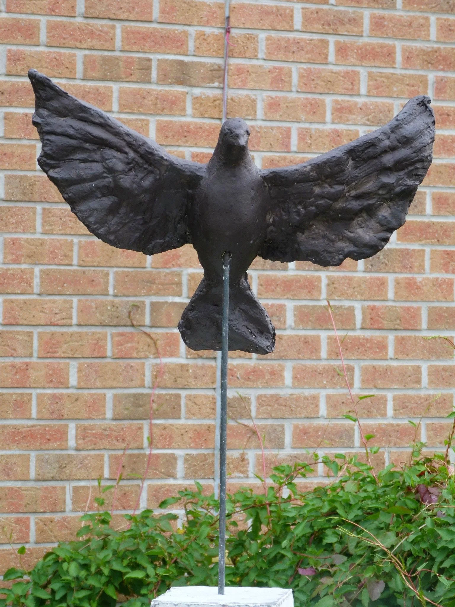 vogelvlucht.jpg
