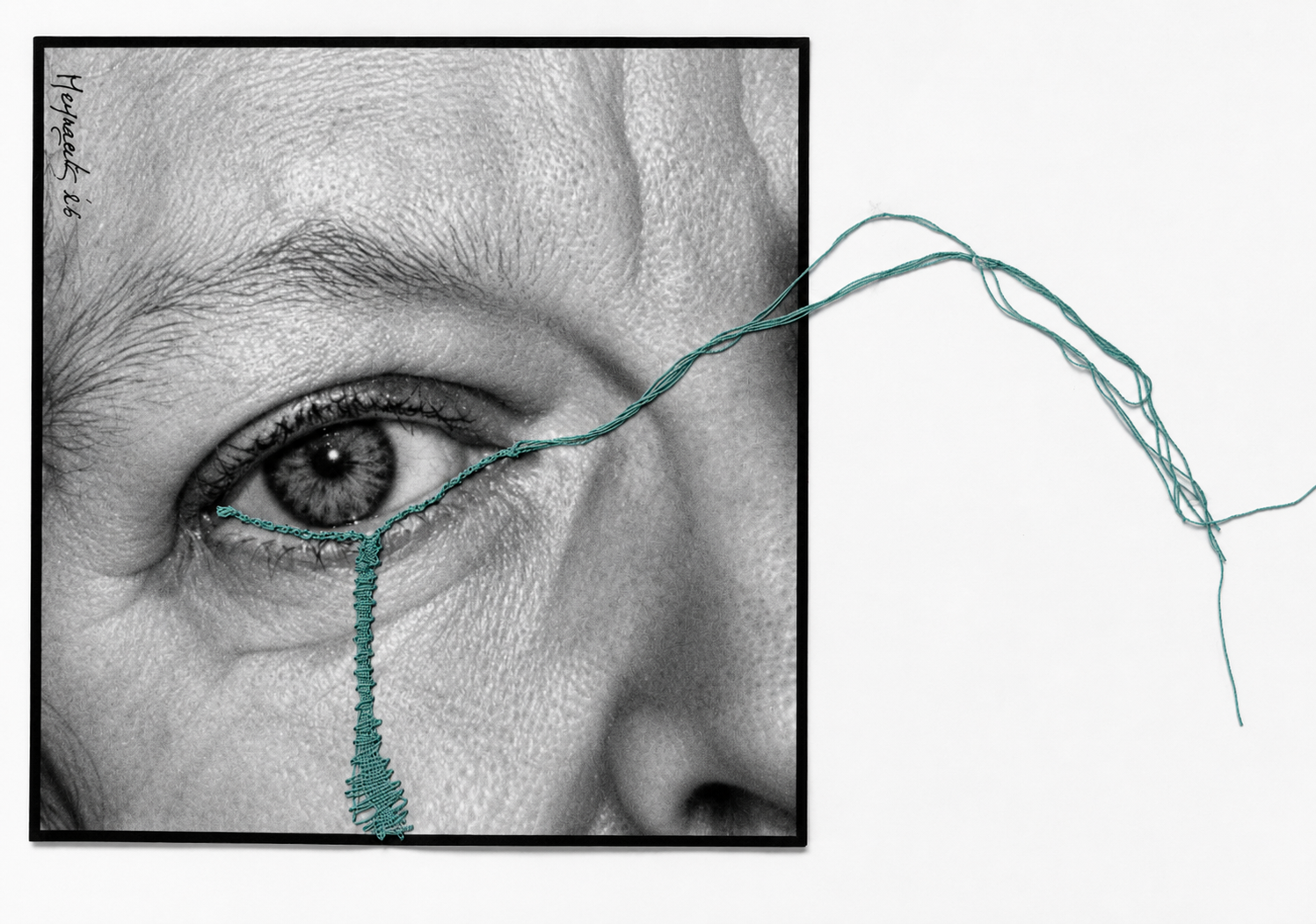 08f0edca-8796-4043-825b-6ded93c96f7d.png