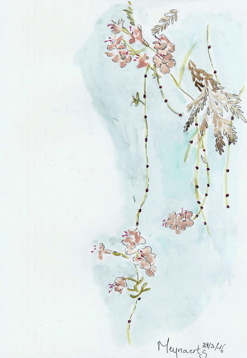 {6EA54FC8-C5AD-4C4E-9882-9891C59EED19}.png