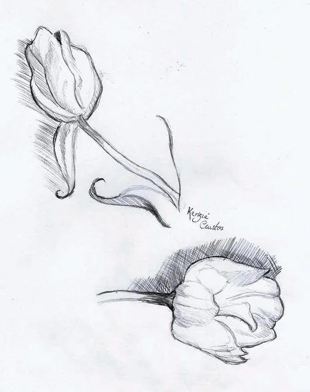 tulp.jpg