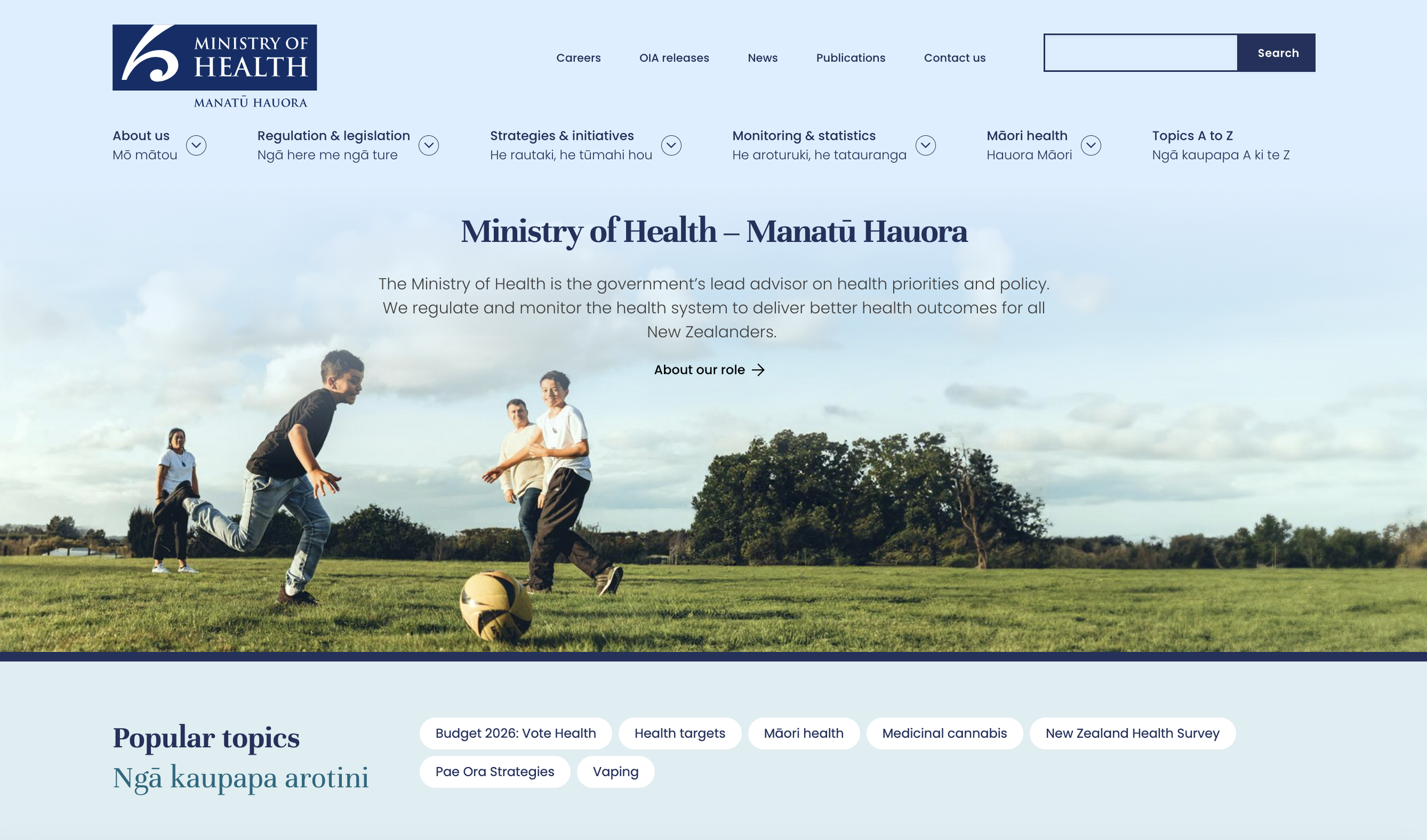Ministry of Health website header area