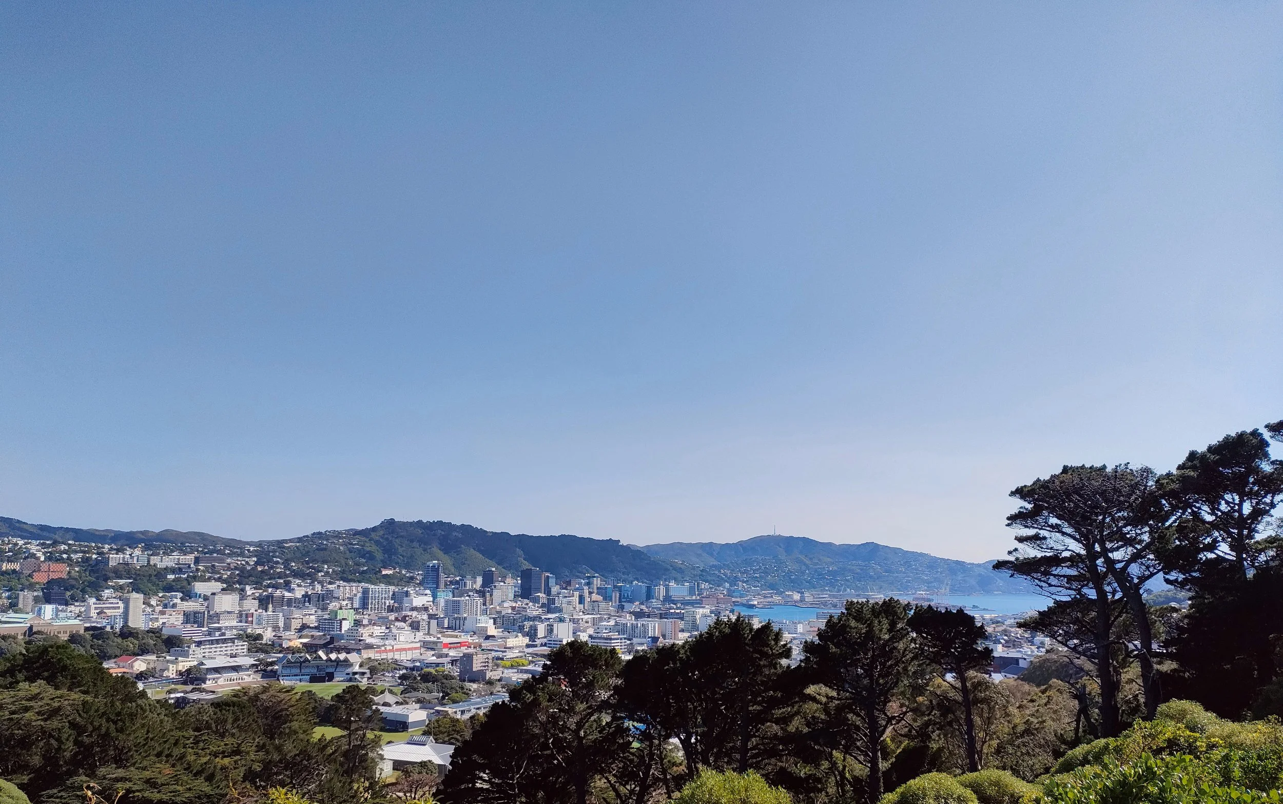 Cityscape with numerous buildings, surrounded by hilly terrain, under a blue sky, with trees in the foreground.
