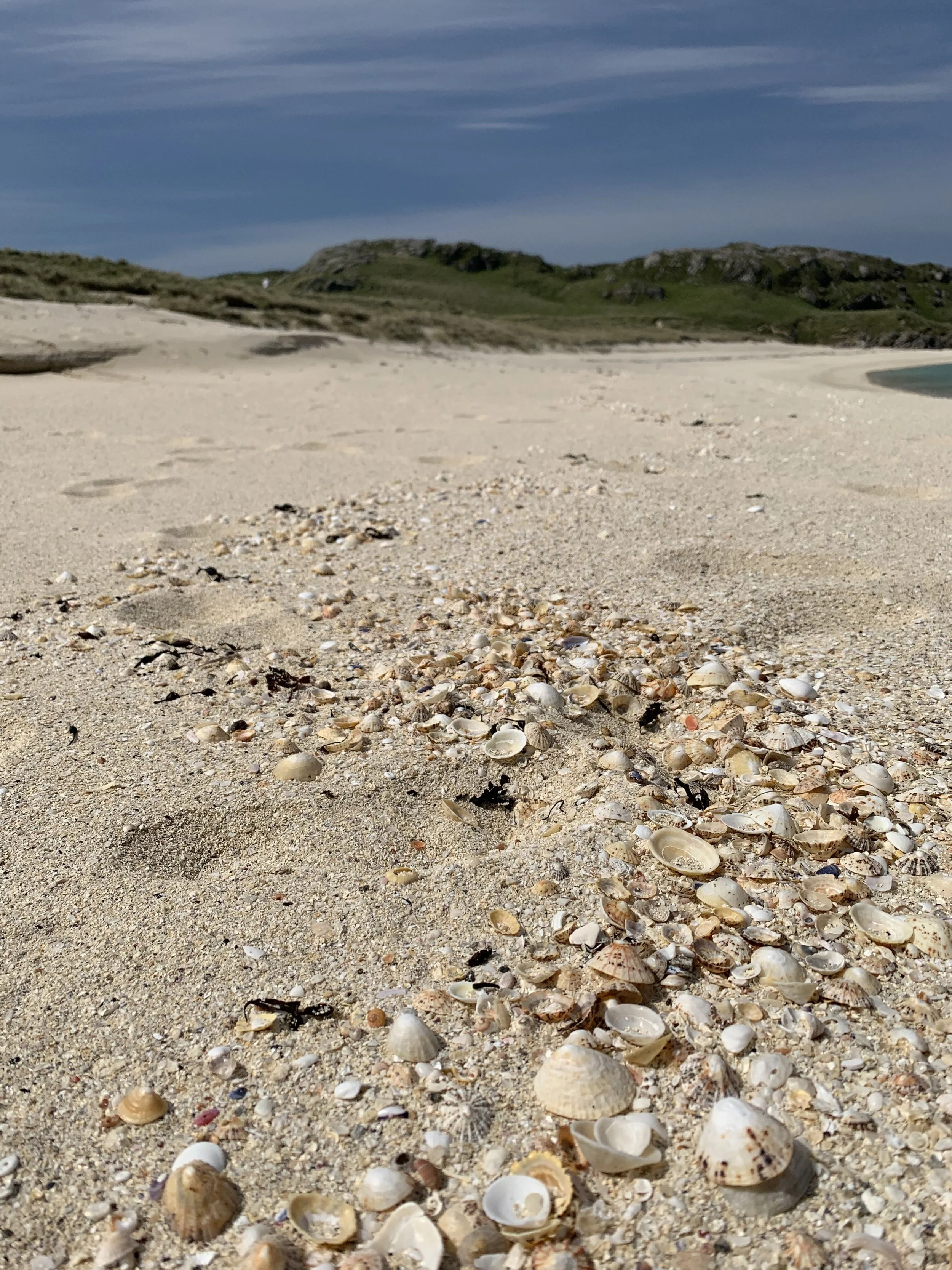 Beach with white sand, seashells scattered on the shore, green hills in the background, and blue sky with wispy clouds.