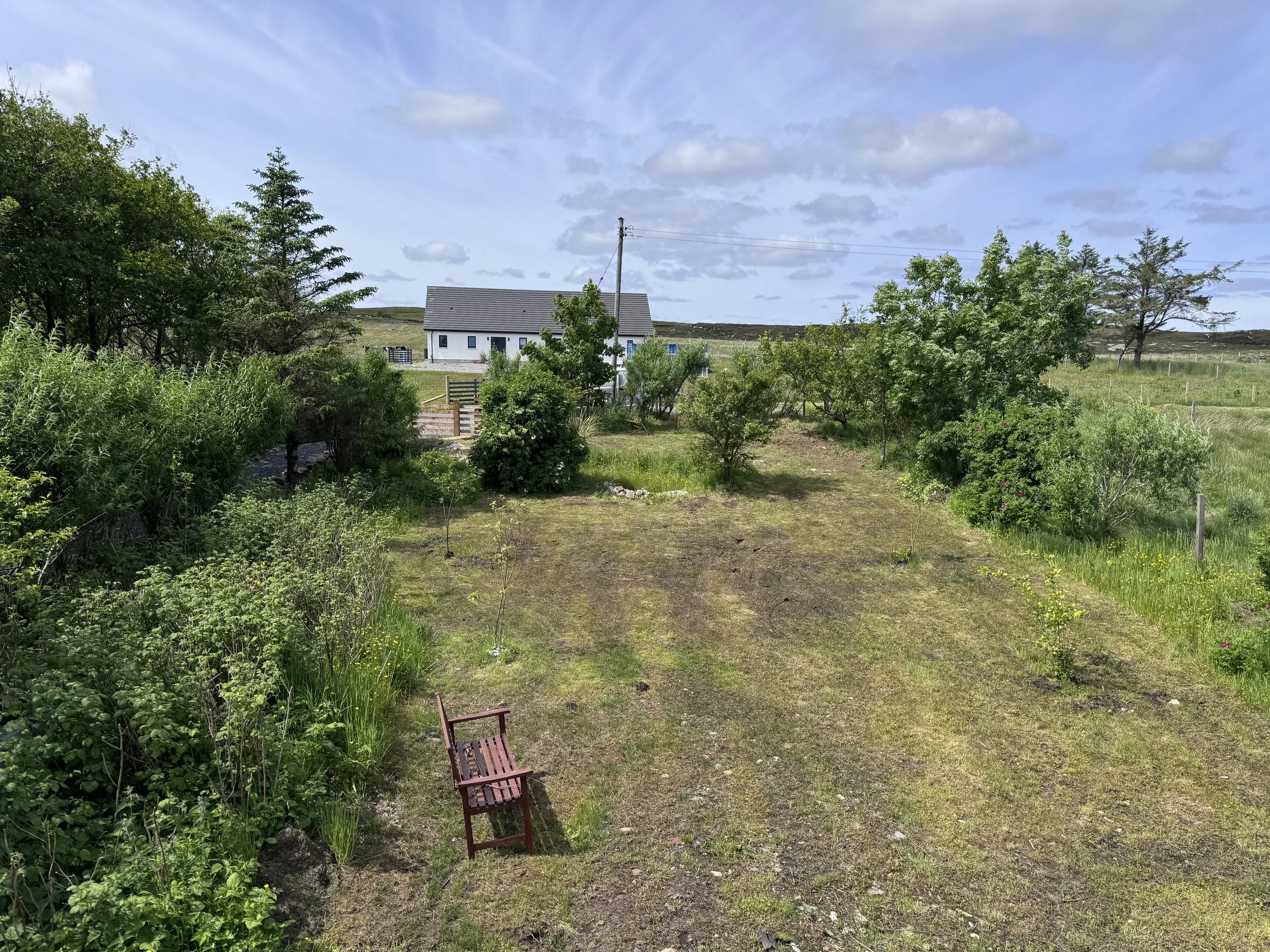 A grassy backyard with a worn wooden chair, surrounded by trees and bushes under a partly cloudy sky, with a white house and utility pole in the distance.