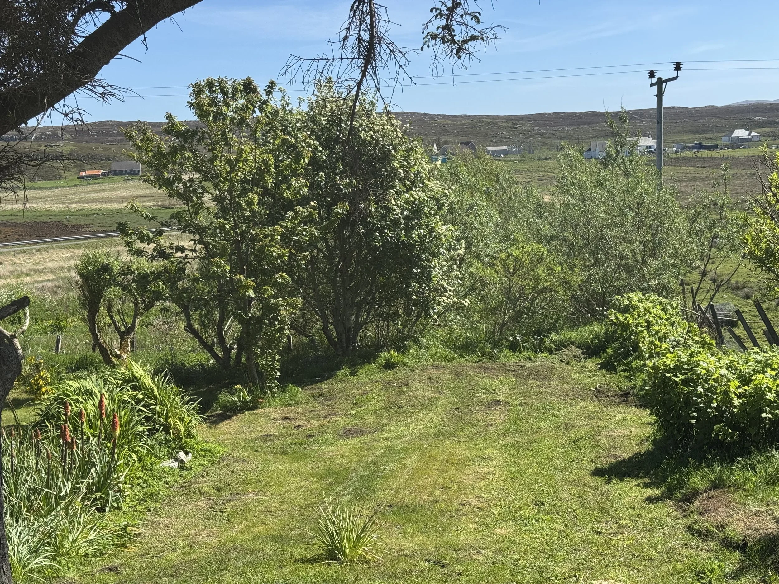A scenic view of a rural landscape with green trees and grass in the foreground, a few houses and buildings in the middle ground, and hills under a clear blue sky in the background.