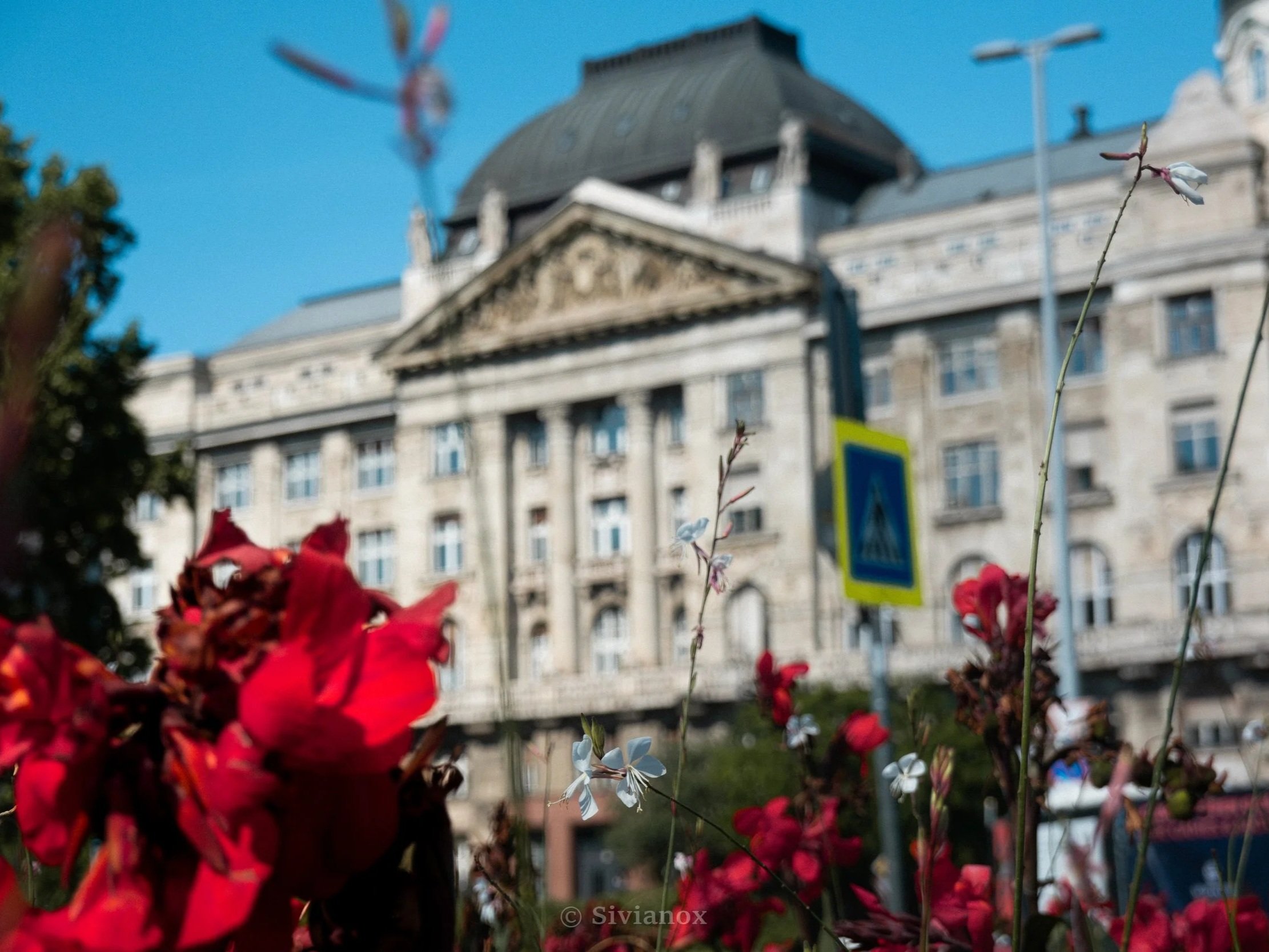 EU26_BUDAPEST_160626-6.jpg