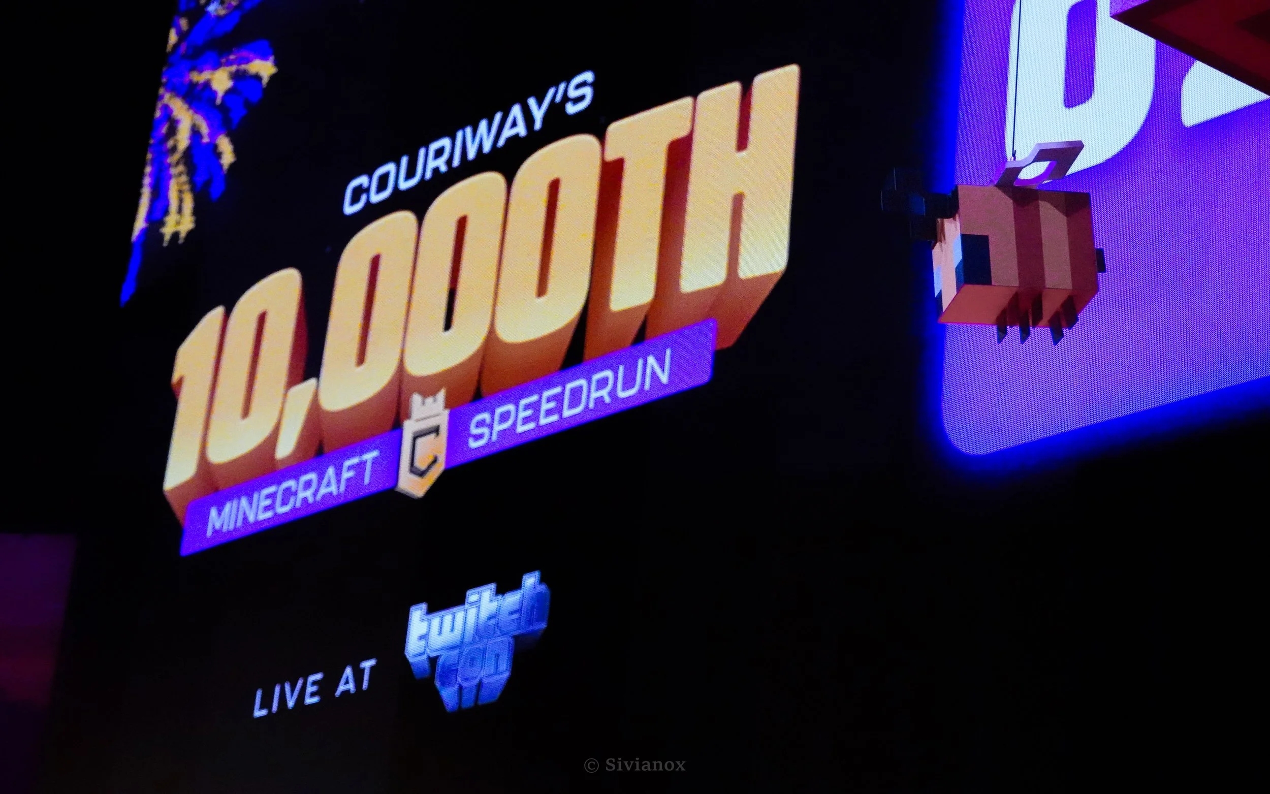 couri 10k.jpg