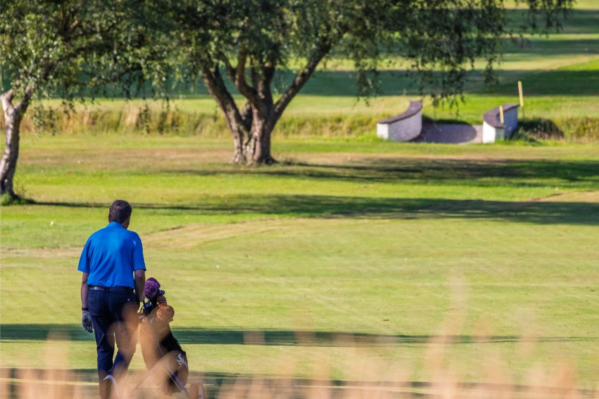 A man in a blue shirt and dark pants standing on a grassy golf course with children, trees, and sand bunkers in the background.
