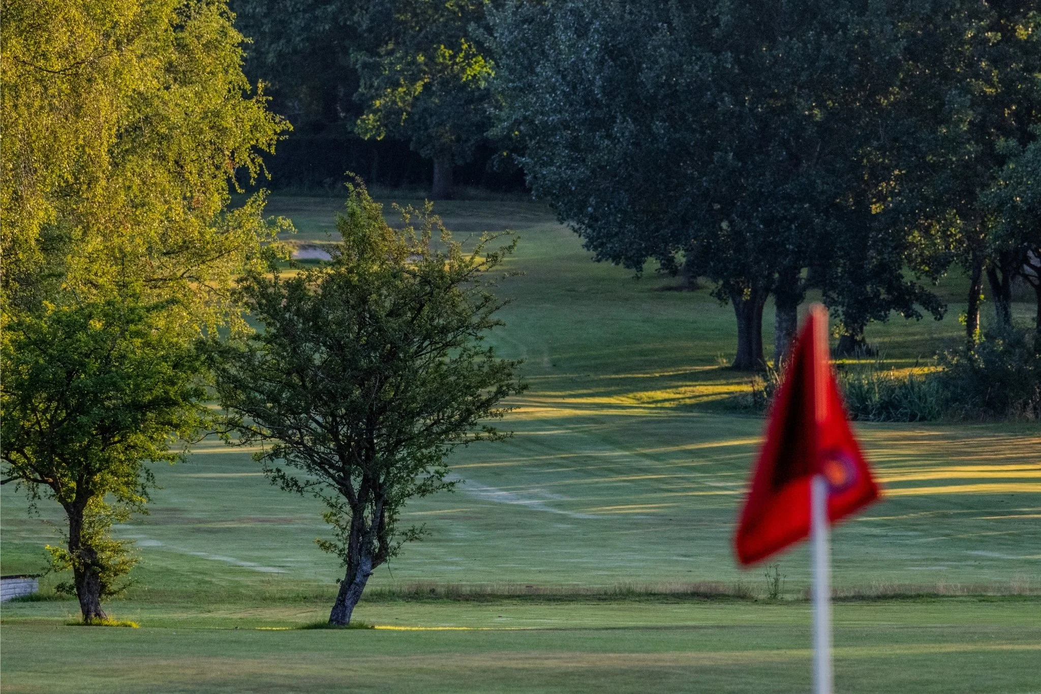 A golf course with green grass, several trees, and a flagstick near a hole in the foreground. The scene appears to be in the early morning or late afternoon with sunlight casting long shadows.