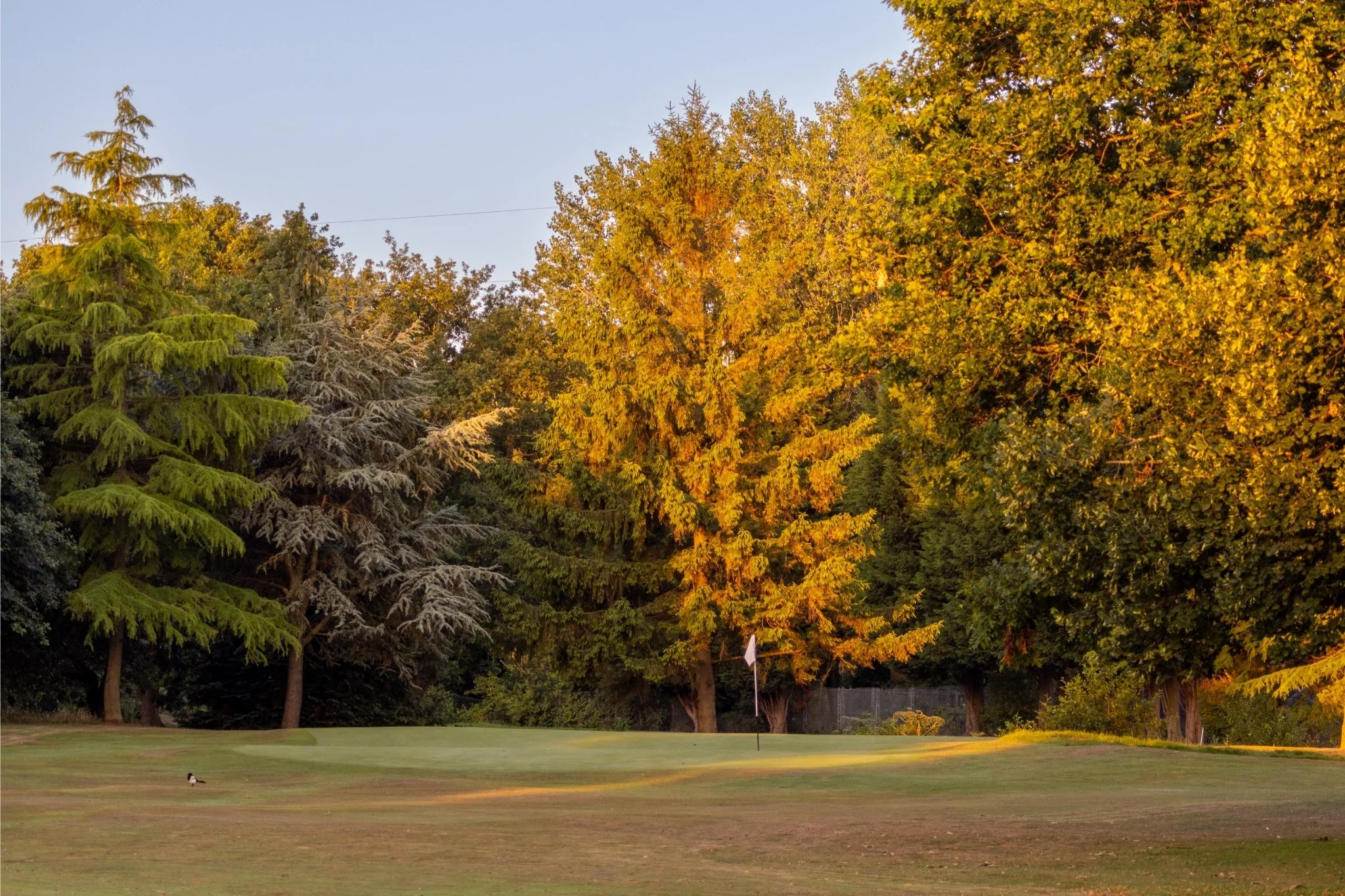 A scenic view of a golf course with trees displaying fall colors and a clear sky overhead.