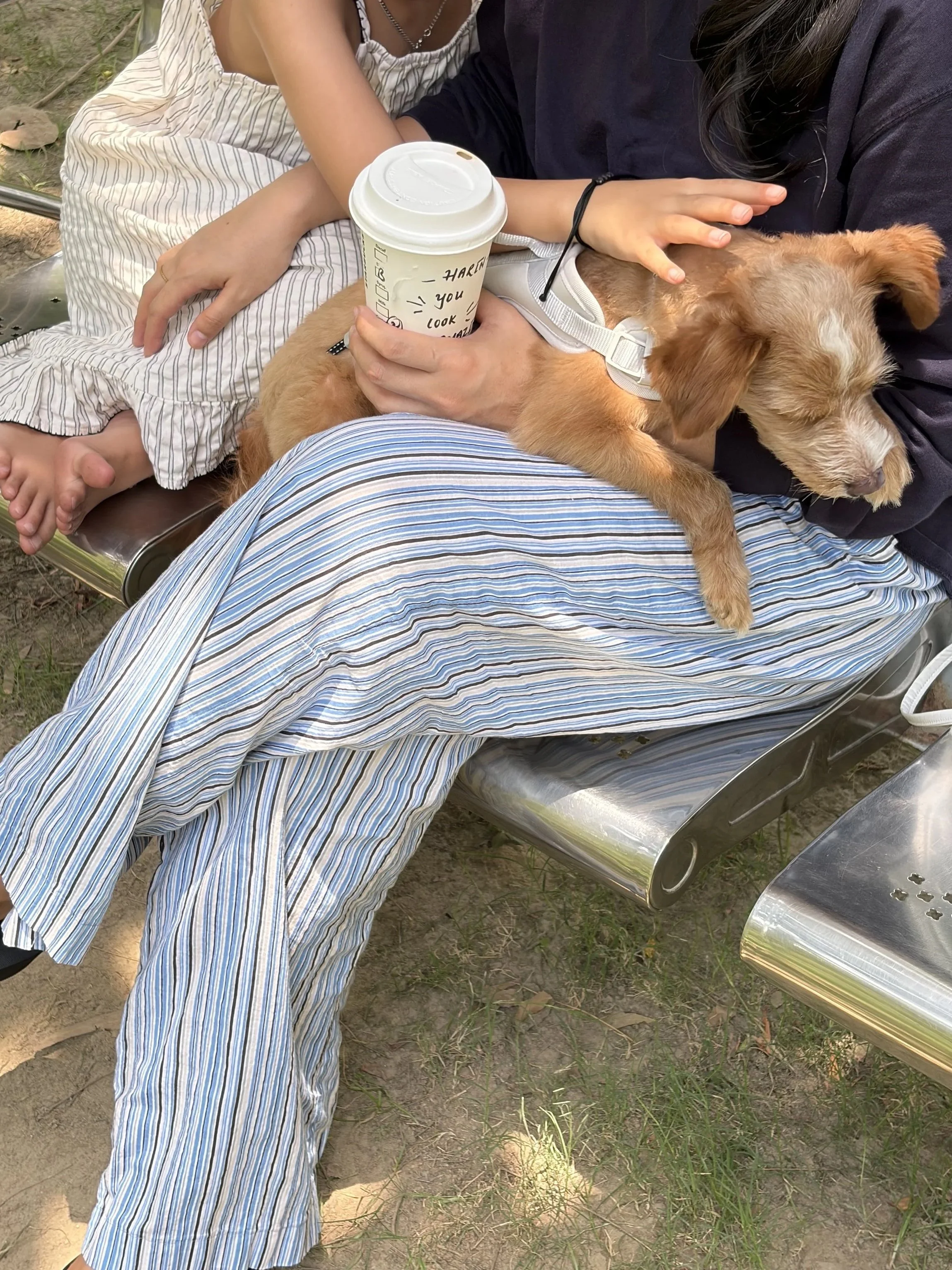 BLUE AIR PANTS (stripe)