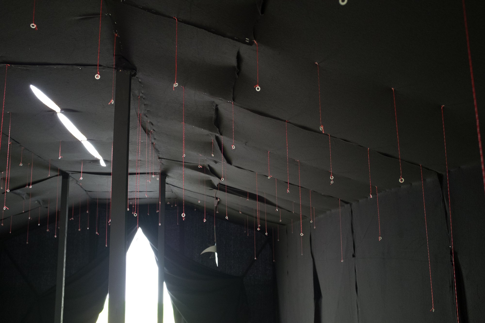 DSCF6398.jpg