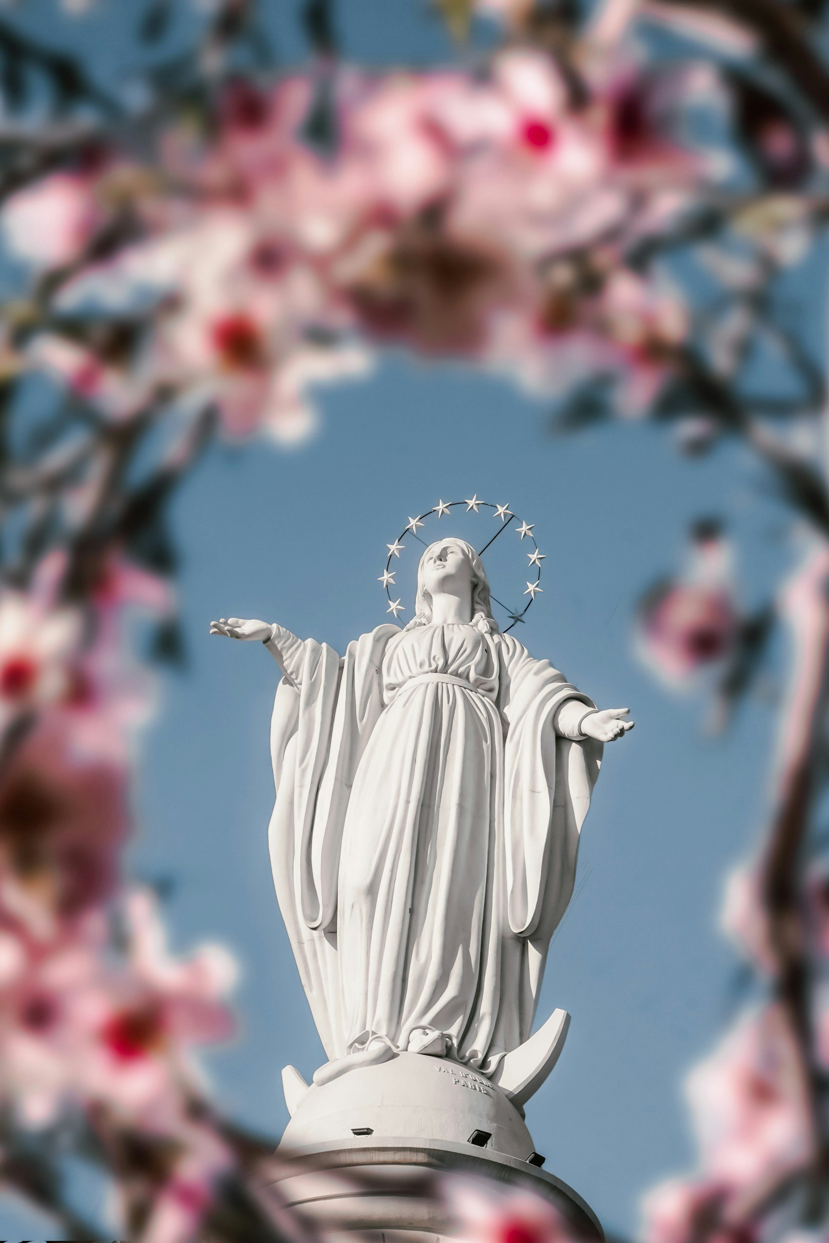 The image shows the statue of Christ the Redeemer in Rio de Janeiro, Brazil, viewed from below, framed by pink blossoming flowers.