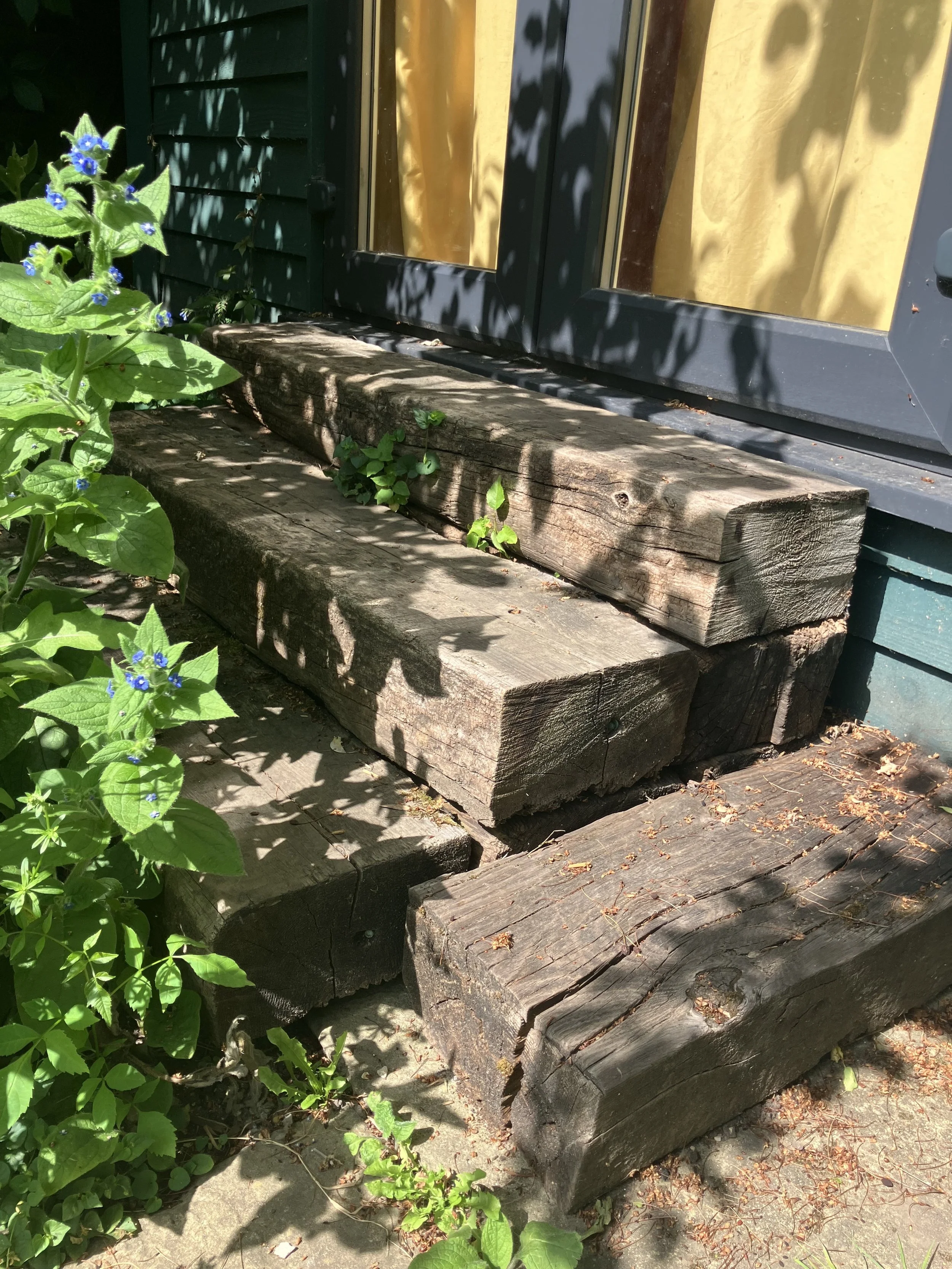 Close-up view of wooden steps made of repurposd railway sleepers, leading to a door, with green plants and purple flowers on the side, and a yellow curtain visible through the glass door.