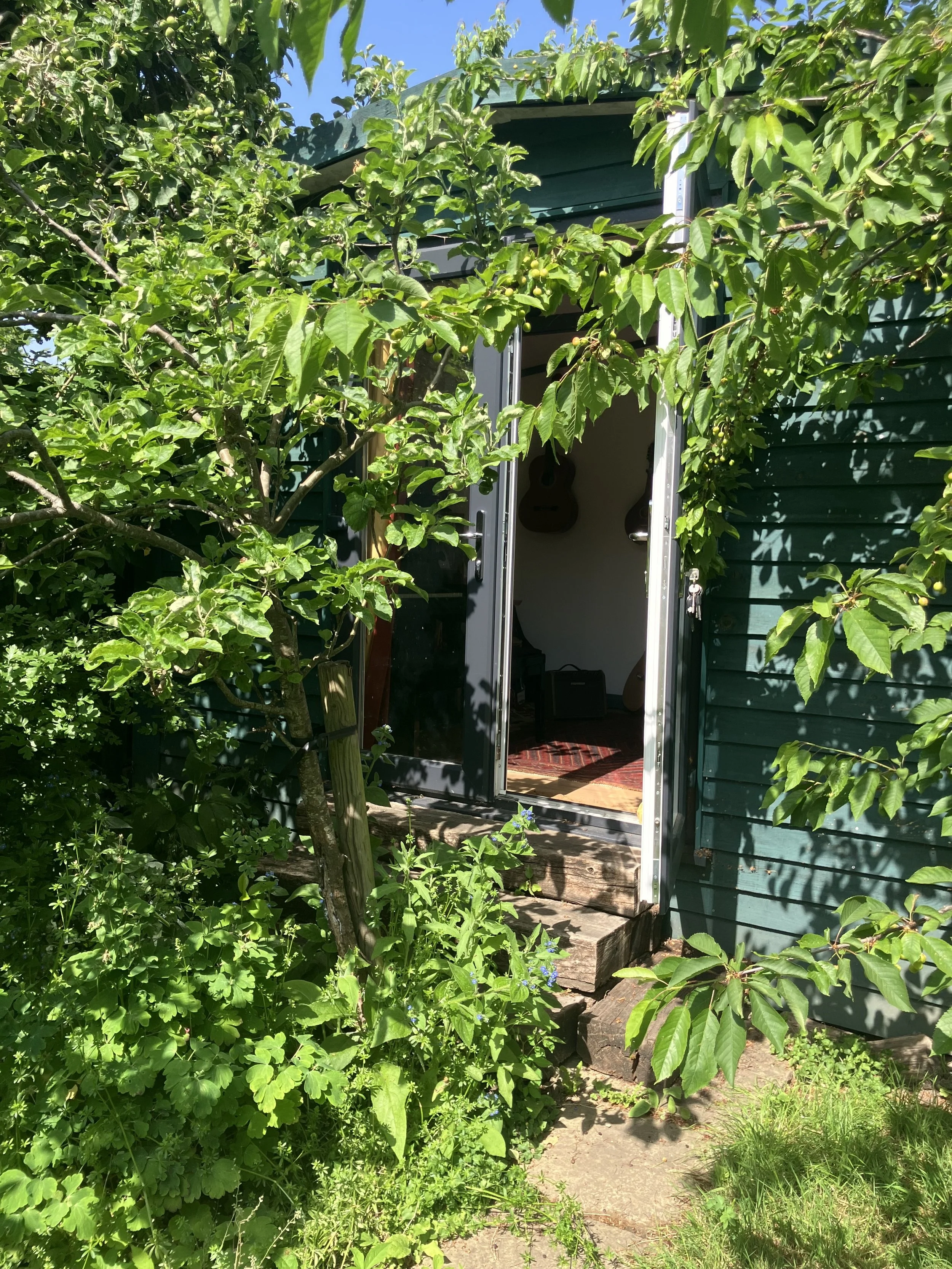 A garden scene with lush green foliage and a partially open door to a shed music studio, visible with two guitars hanging on the interior wall.