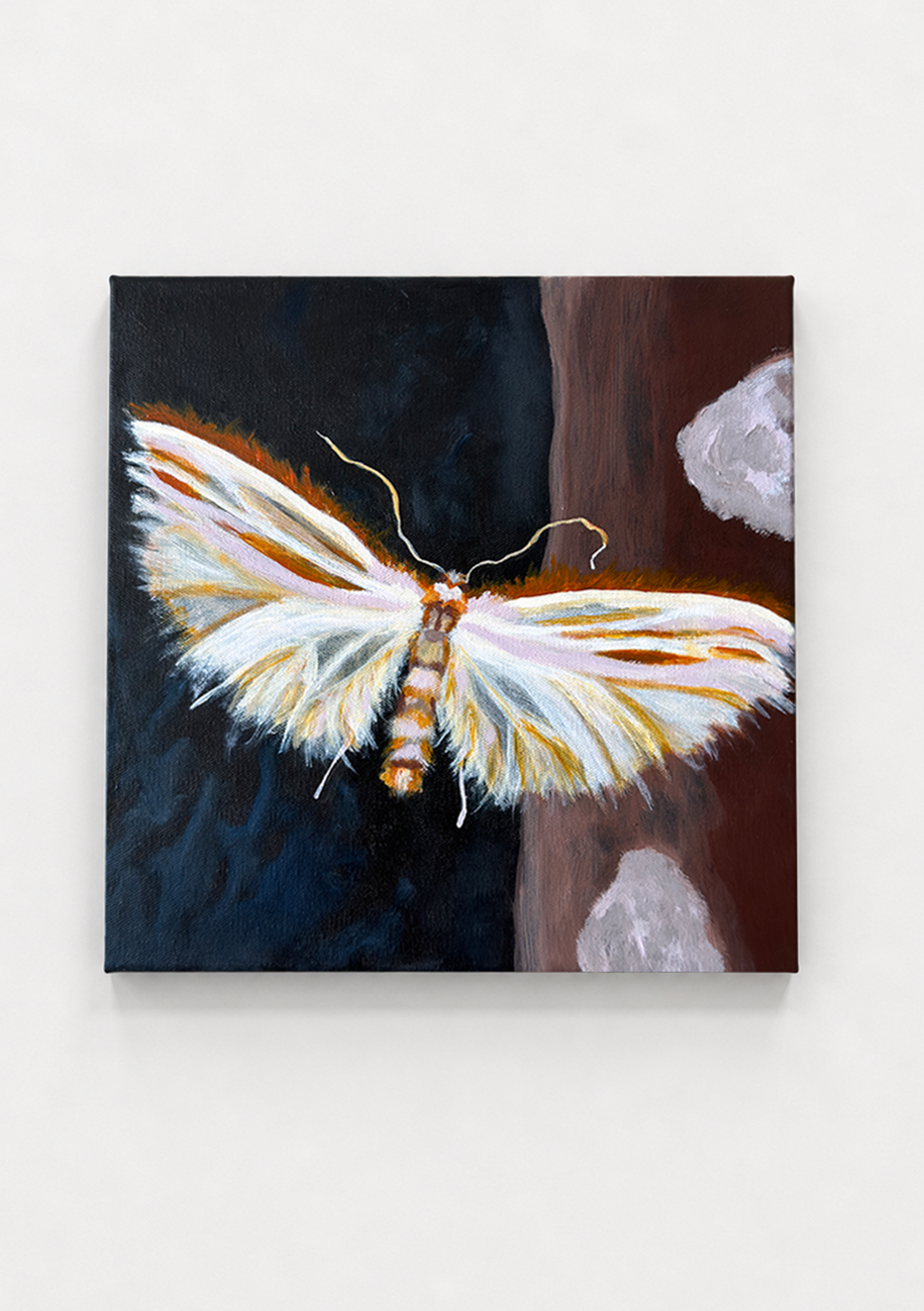 Ghostmoth
