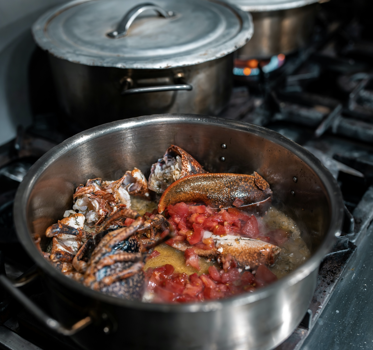 How We Made an Italian Cookbook Metabolically Balanced