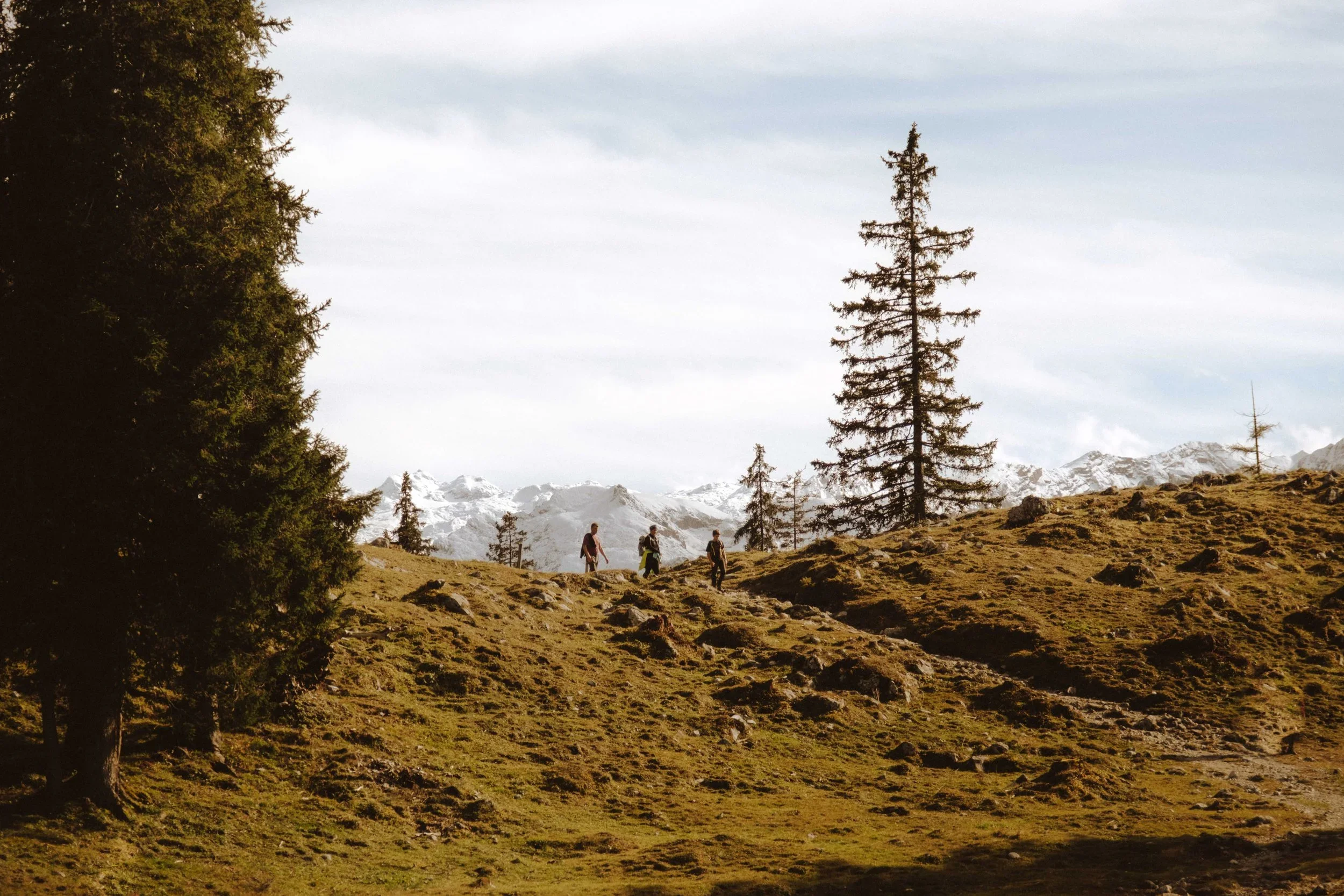 Archenkanzel10-2024-57.jpg.webp