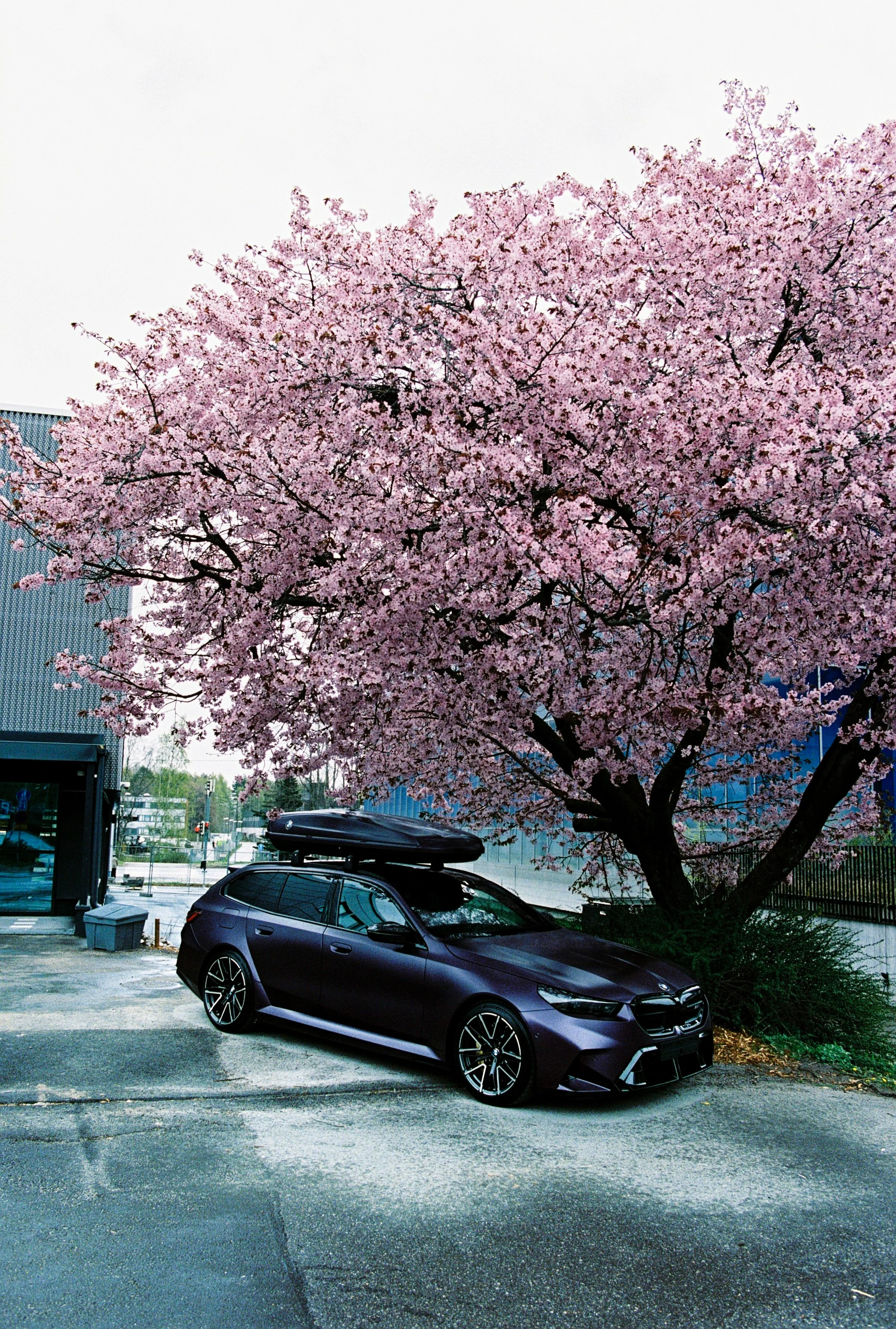 bmw_m5 (6 of 8).jpg